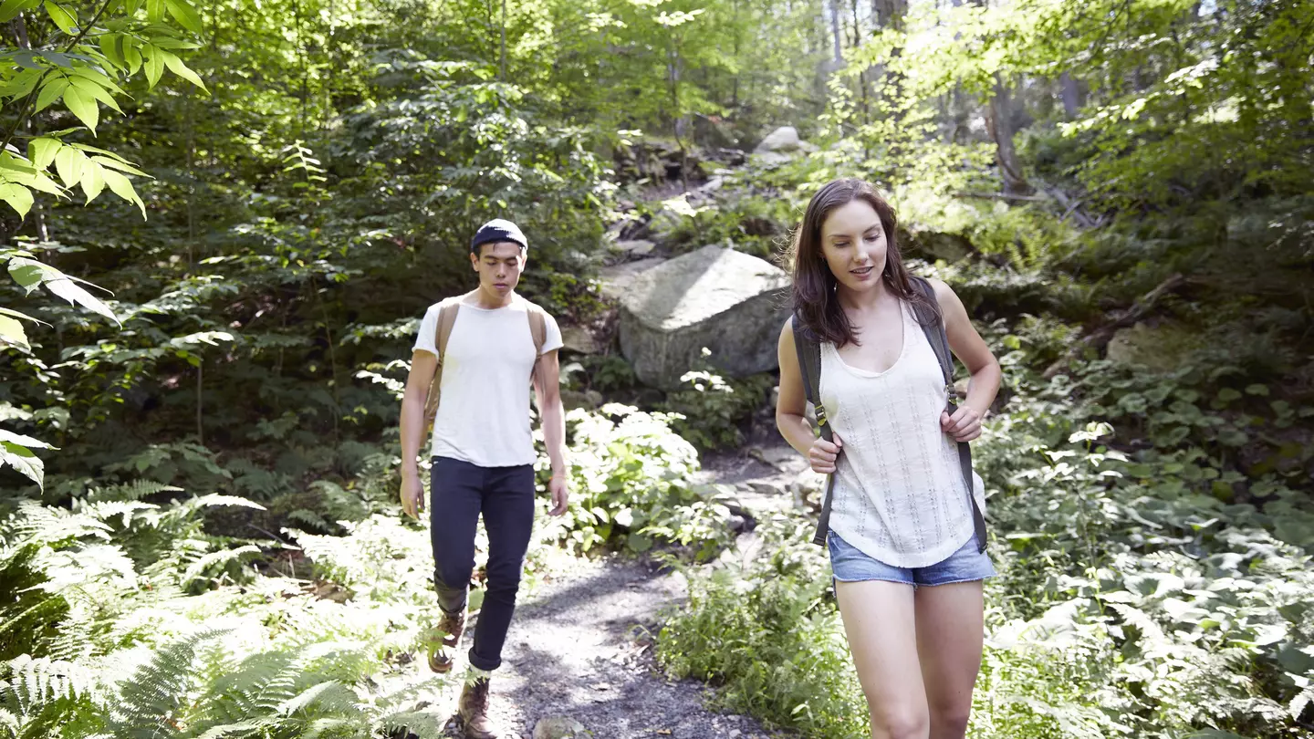 New York State is filled with beautiful places to go for a hike all year round © BROOK PIFER / Getty Images