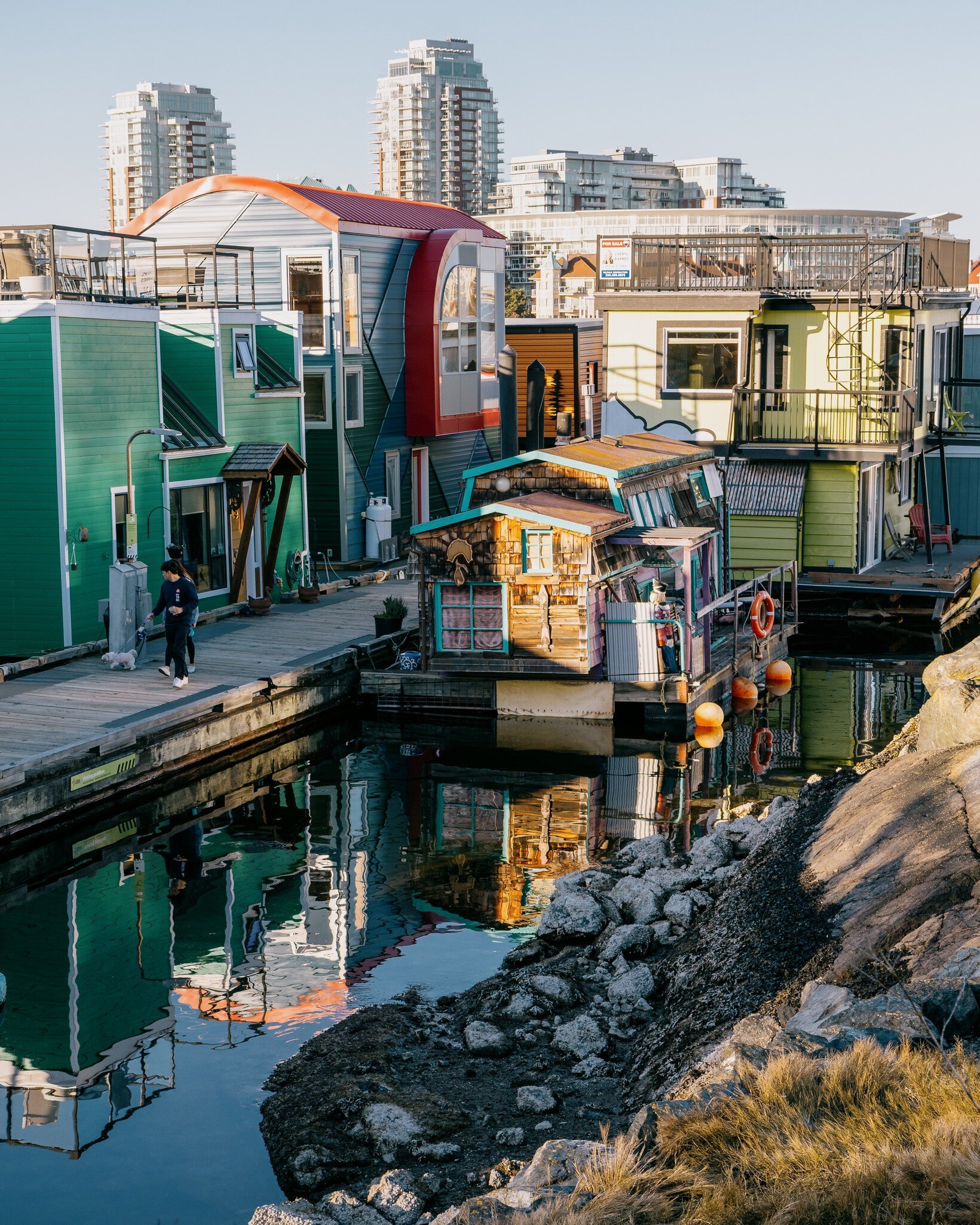 Victoria, Canada - Mar 17 2024: A row of colorful floating houses at Fisherman's Wharf, catching beautiful sunlight reflected from the sea, their own reflections visible on the calm water., License Type: media, Download Time: 2026-05-14T15:32:35.000Z, User: LP_NZhan, Editorial: true, purchase_order: 65050 - Digital Destinations and Articles, job: App Content, client: Lonely Planet APP, other: Nadine Zhan