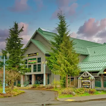 KETCHIKAN, ALASKA - May 5, 2023: Ketchikan is the southeasternmost city in Alaska, with a population of 8000. Cruise ships make over 500 stops bringing more than a million visitors to Ketchikan., License Type: media, Download Time: 2026-07-20T19:21:16.000Z, User: LP_NZhan, Editorial: true, purchase_order: 65050 - Digital Destinations and Articles, job: App Content, client: Lonely Planet, other: Nadine Zhan 