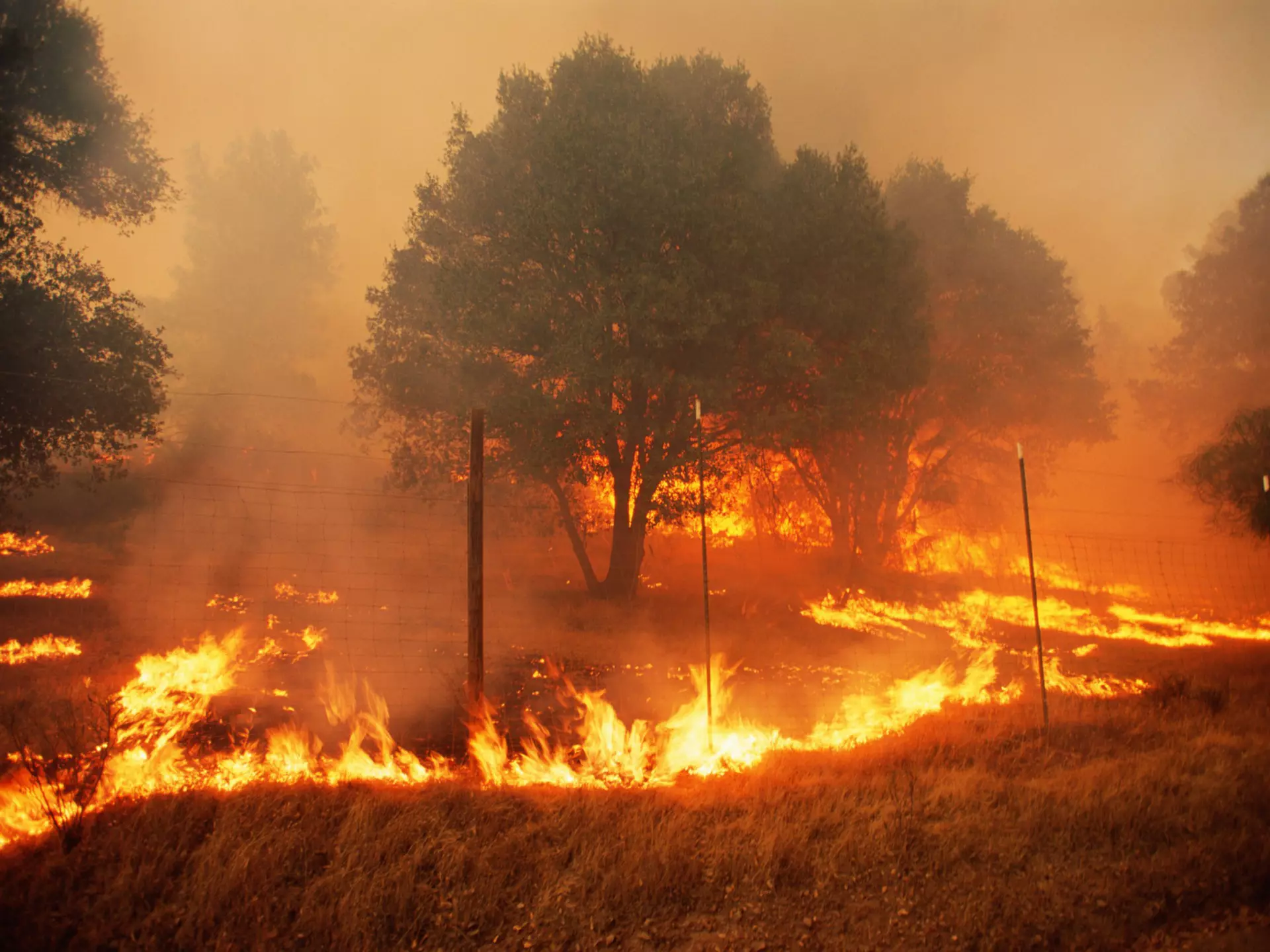 Sonoma County, California, USA
200159463-001