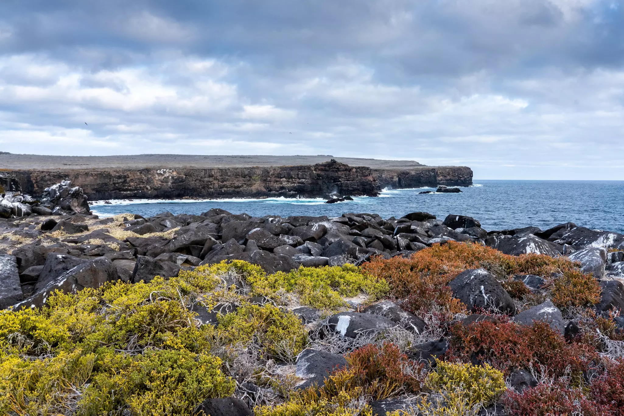 Sebastian Modak - Lonely Planet 2.JPG