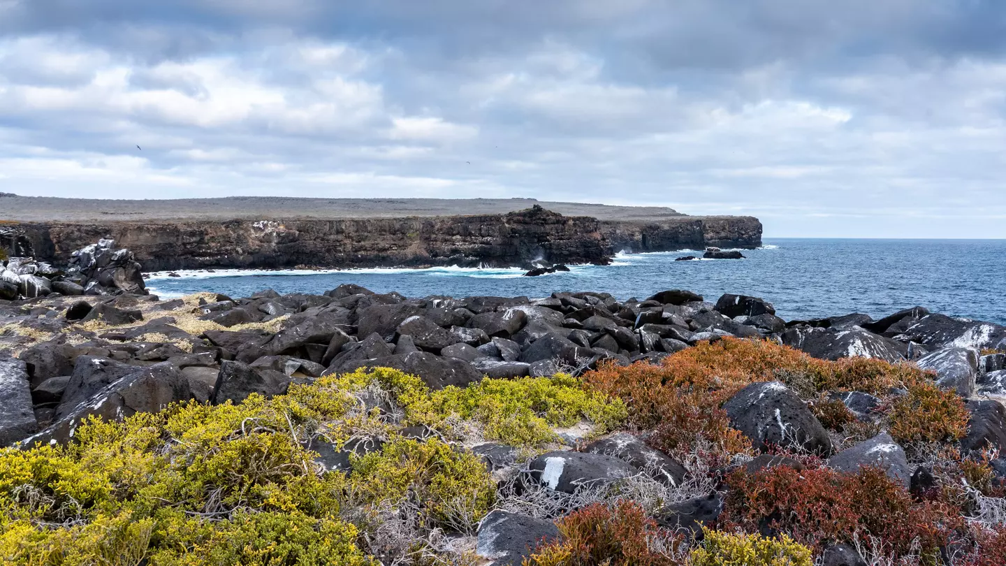 The sea cliffs of Española are just one of many awe-inspiring stops on a trip through the Galápagos © Sebastian Modak / Lonely Planet