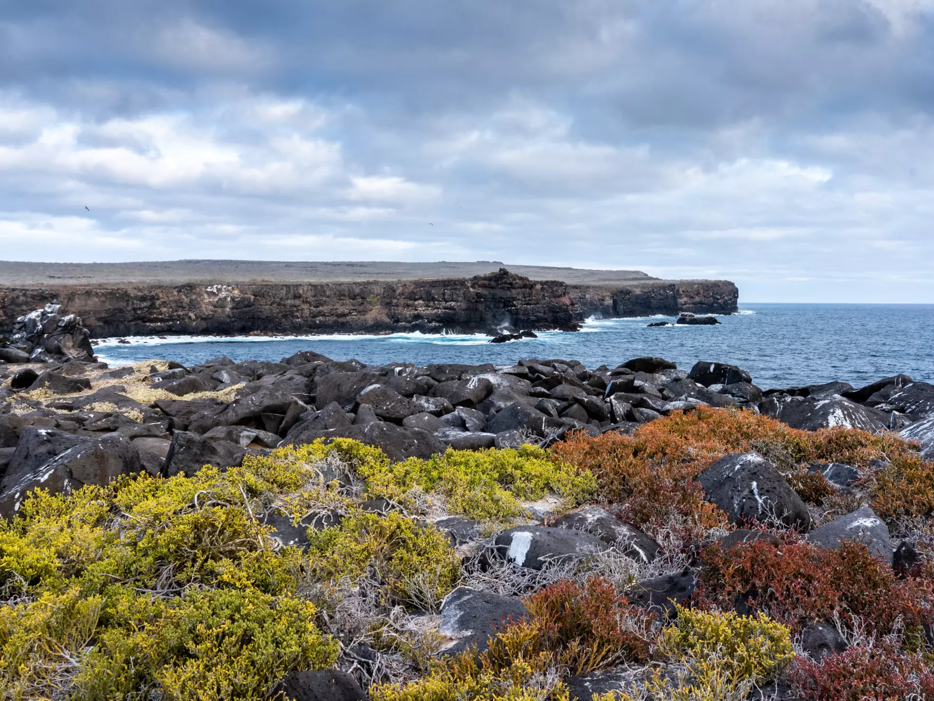 The sea cliffs of Española are just one of many awe-inspiring stops on a trip through the Galápagos © Sebastian Modak / Lonely Planet
