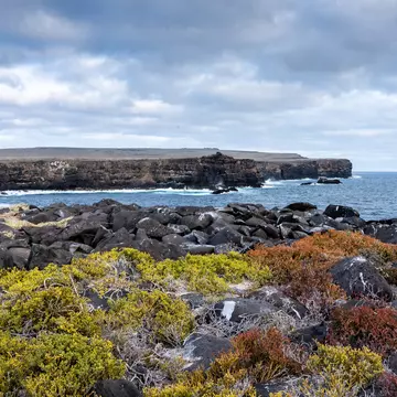 The sea cliffs of Española are just one of many awe-inspiring stops on a trip through the Galápagos © Sebastian Modak / Lonely Planet