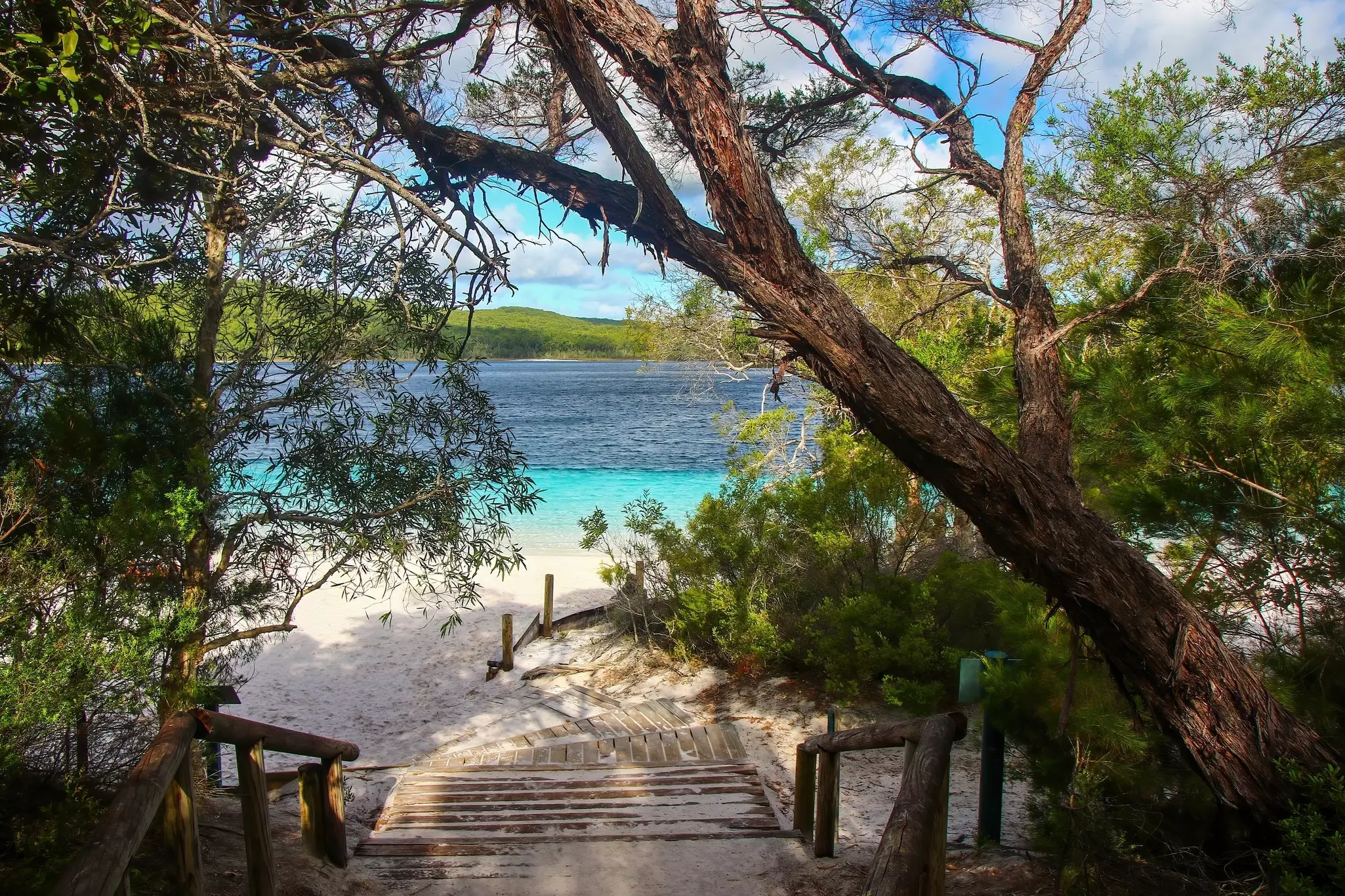 A path leads through a shady wooded area toward a brilliant blue swimming lake