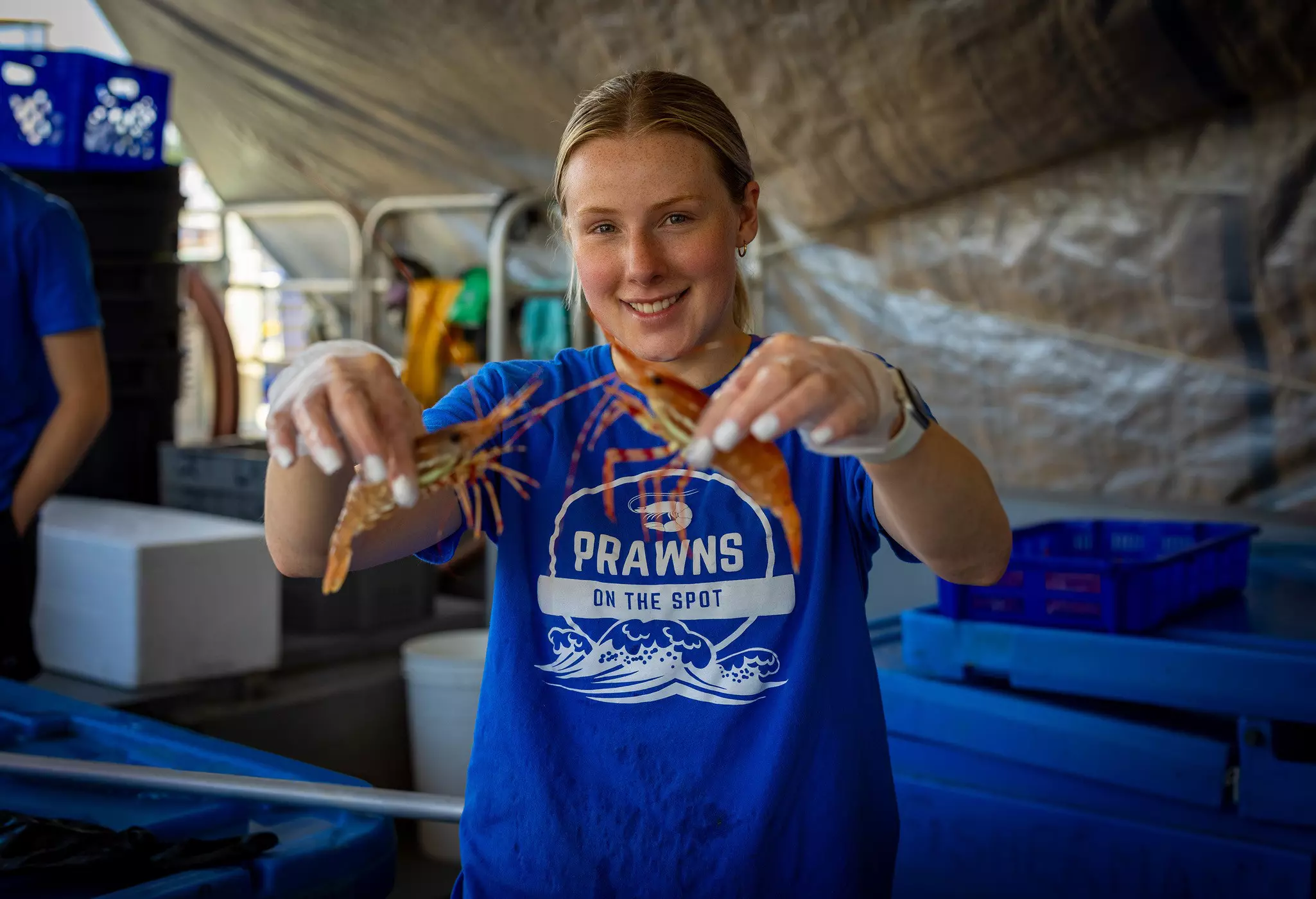 A woman in a blue t-shirt holds up two spot prawns under a tent cover