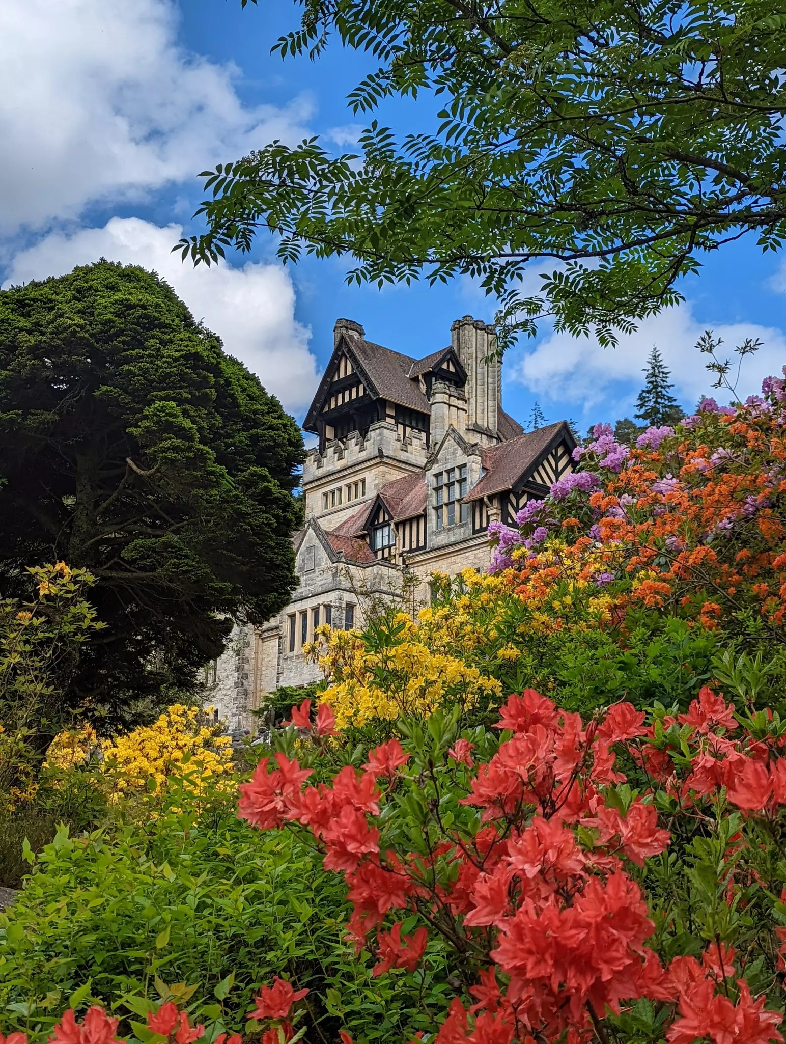 A grand hilltop mansion peeks out above buses and flowers in bloom in reds, yellows, oranges and purples.