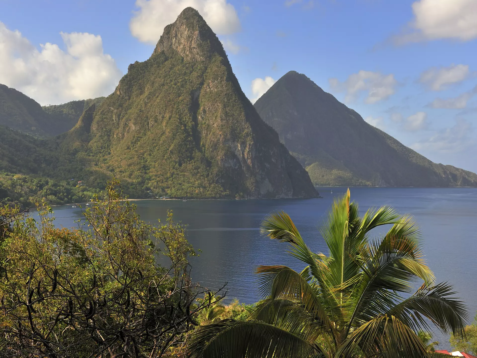 View of the famous Piton mountains in St Lucia. 