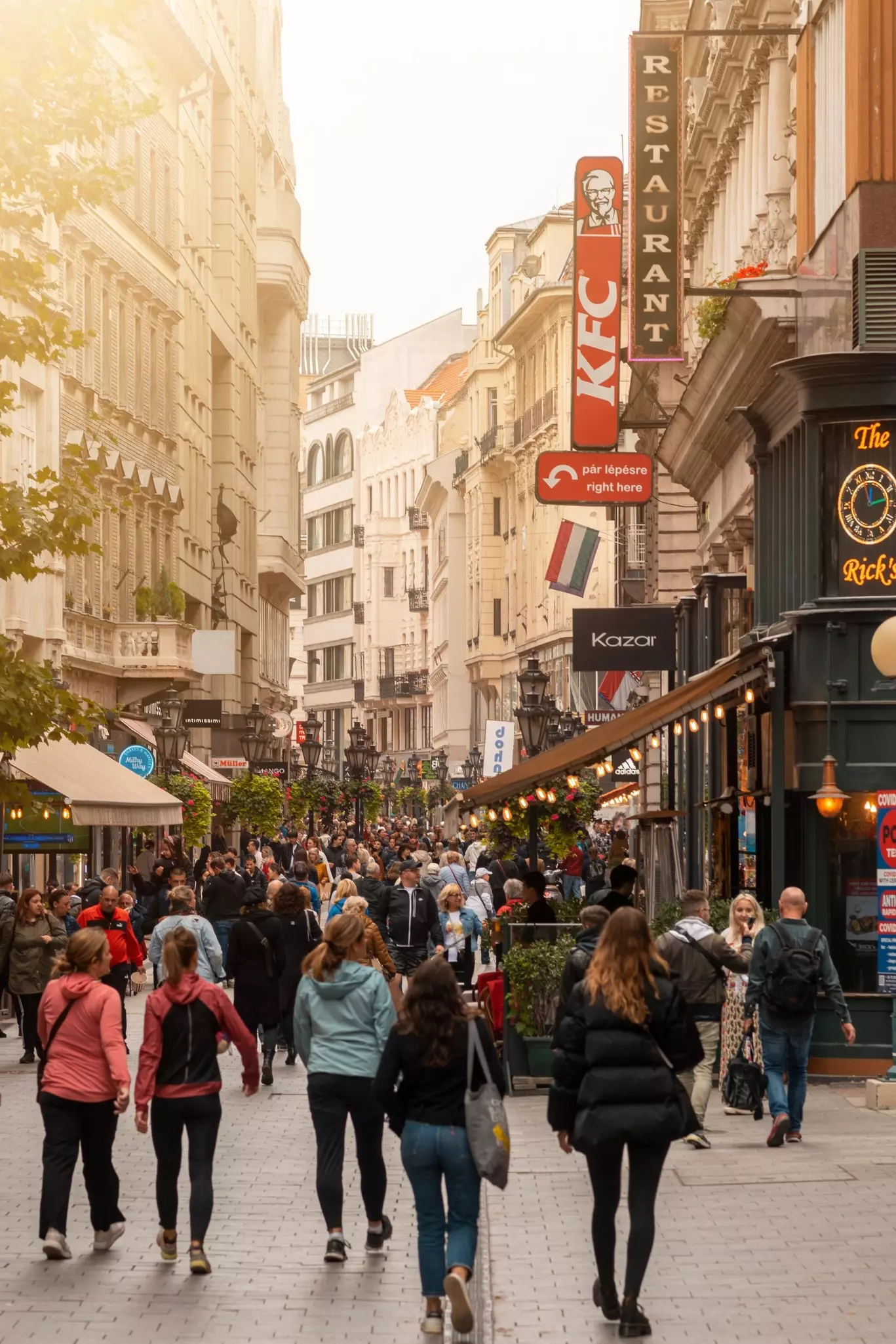 A busy pedestrian street with signs of restaurants and shops hanging over it