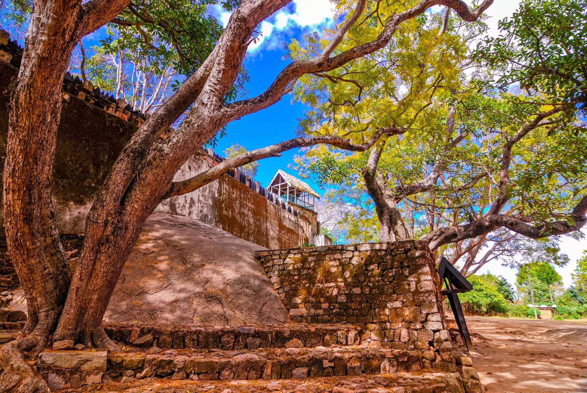 An ancient fortress among trees with a watchtower at the top.