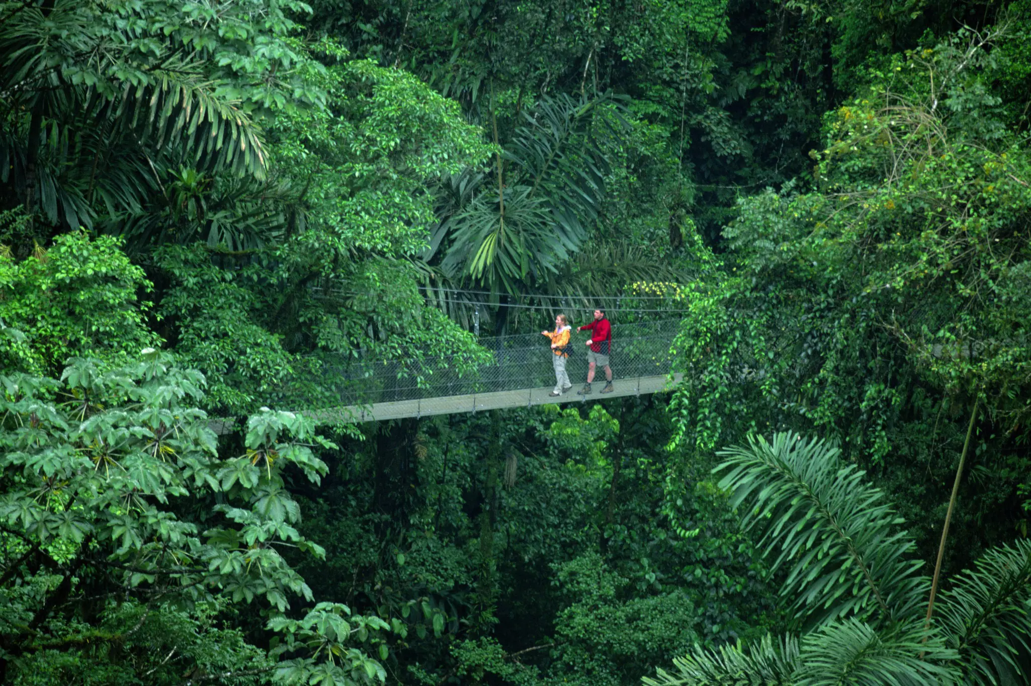 Two people walking across a hanging bridge in Arenal, Costa Rica