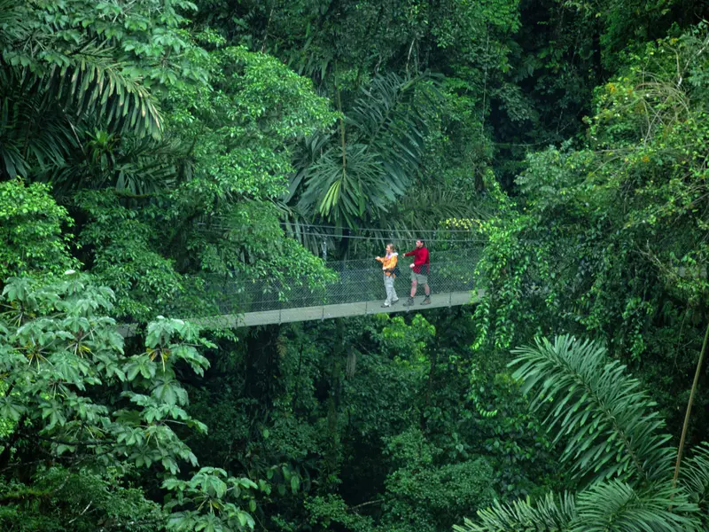 A wide shot of two people on a narrow suspension bridge crossing a lush rainforest.