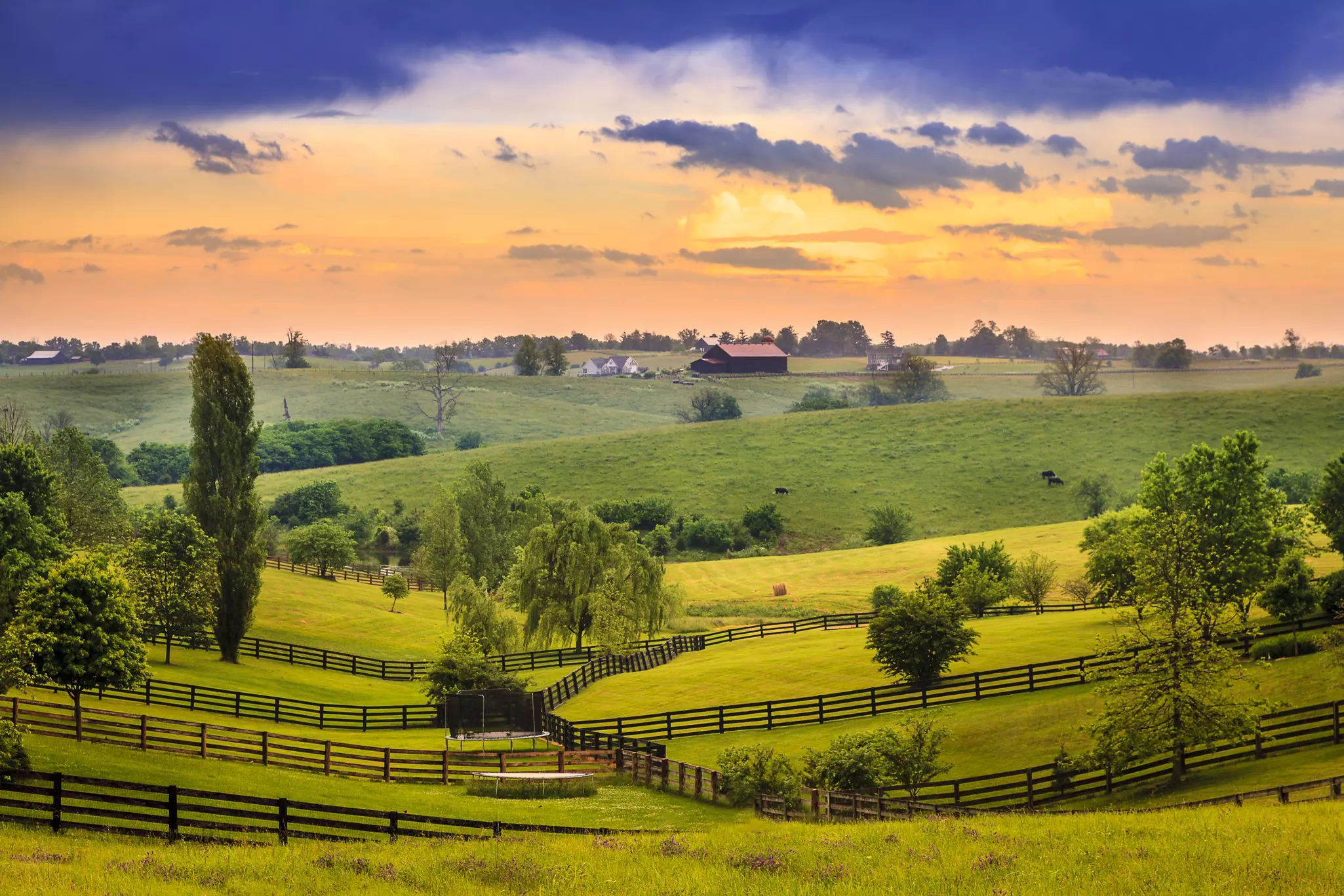 Grass fields on rolling hills, divided by fences, are pictured at sunset in a rural area.