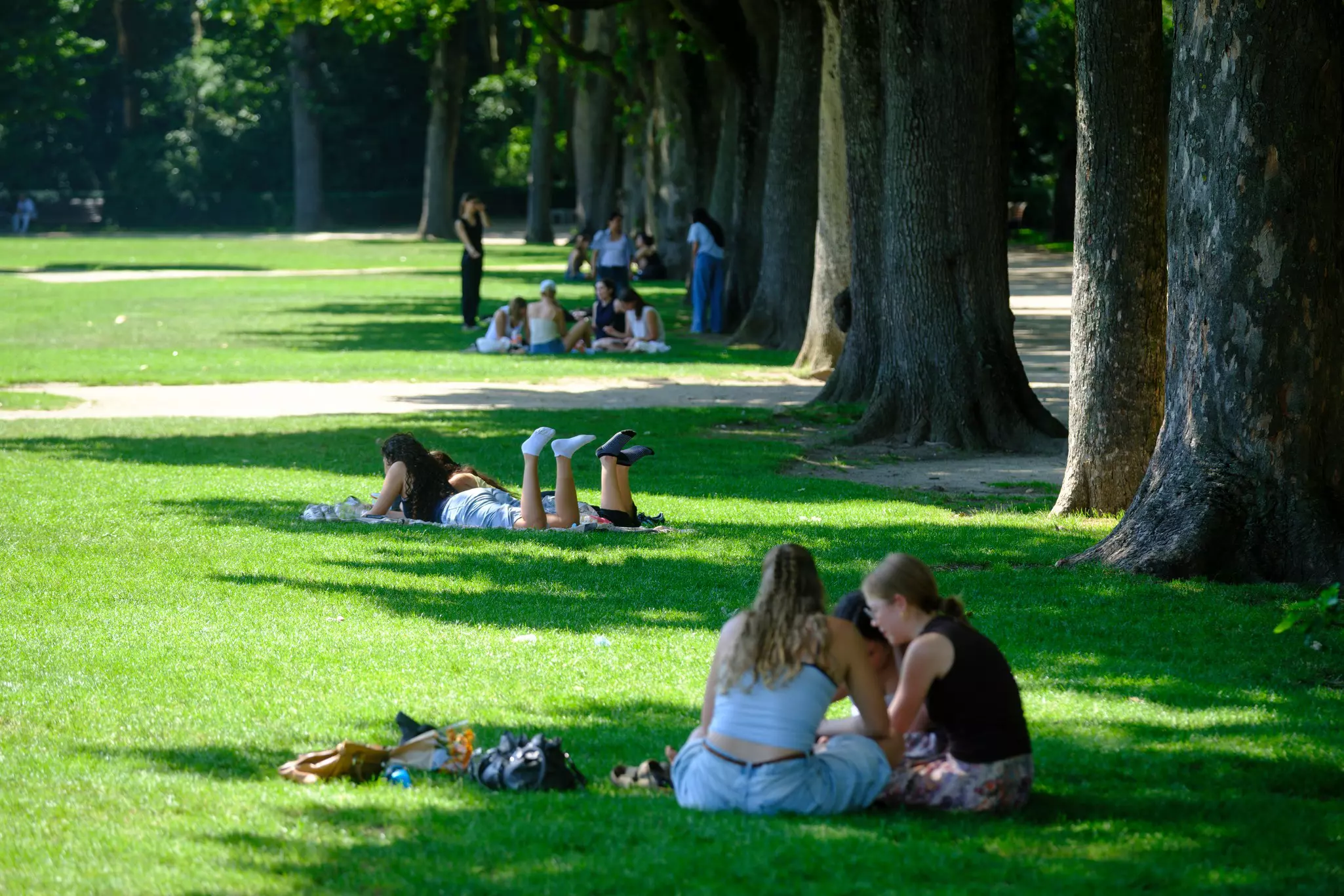 People hide in the shade of Parc du Cinquantenaire, Brussels, Belgium. 