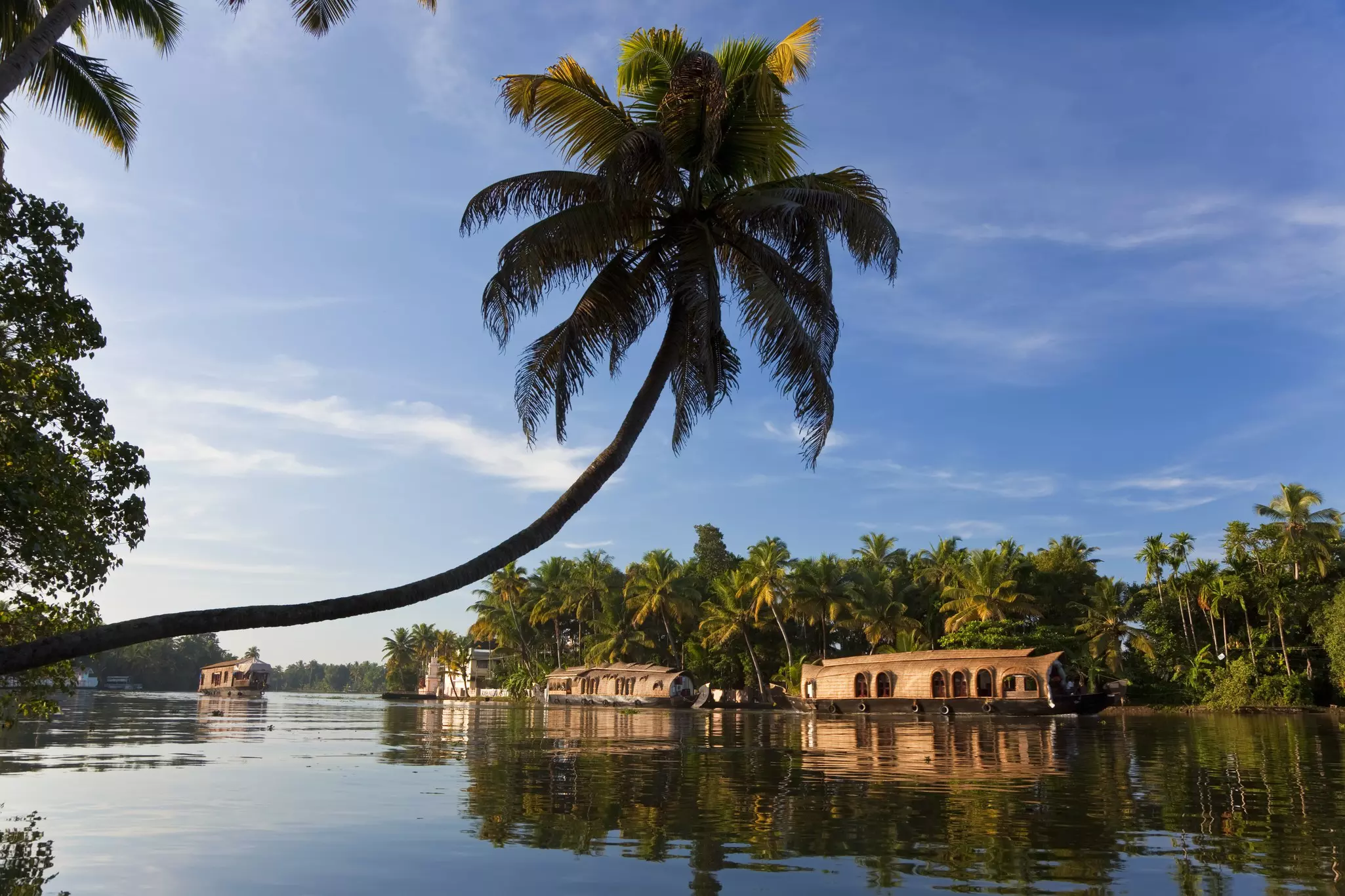 Houseboat, Backwaters, Alappuzha, Kerala, India