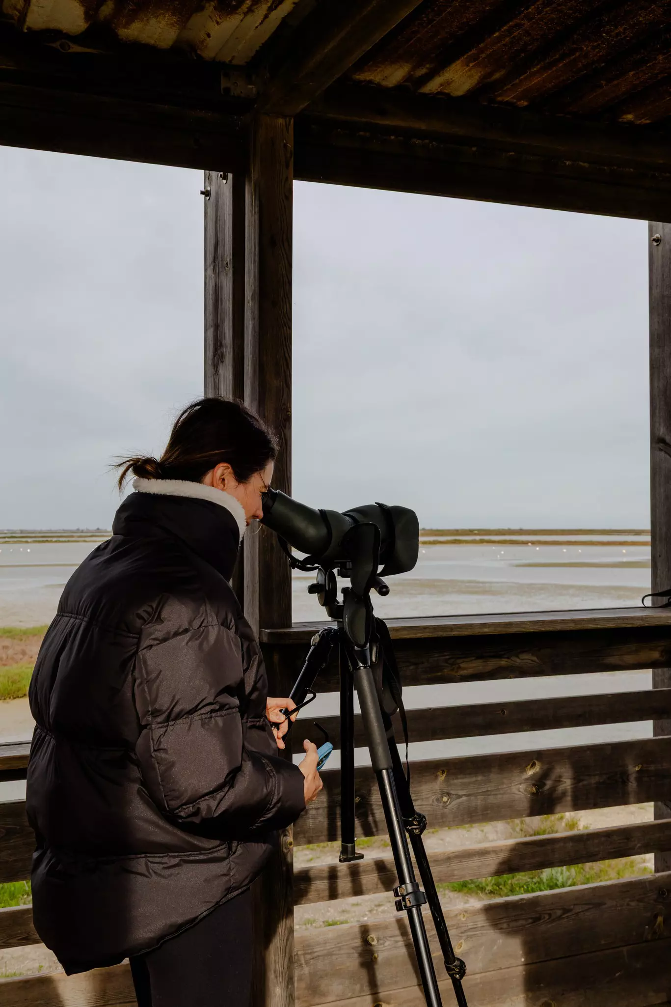Northern Spain with LP Journeys, March 2026
Day 2: Ebro Delta
Observing flamingos in the Ebro Delta
