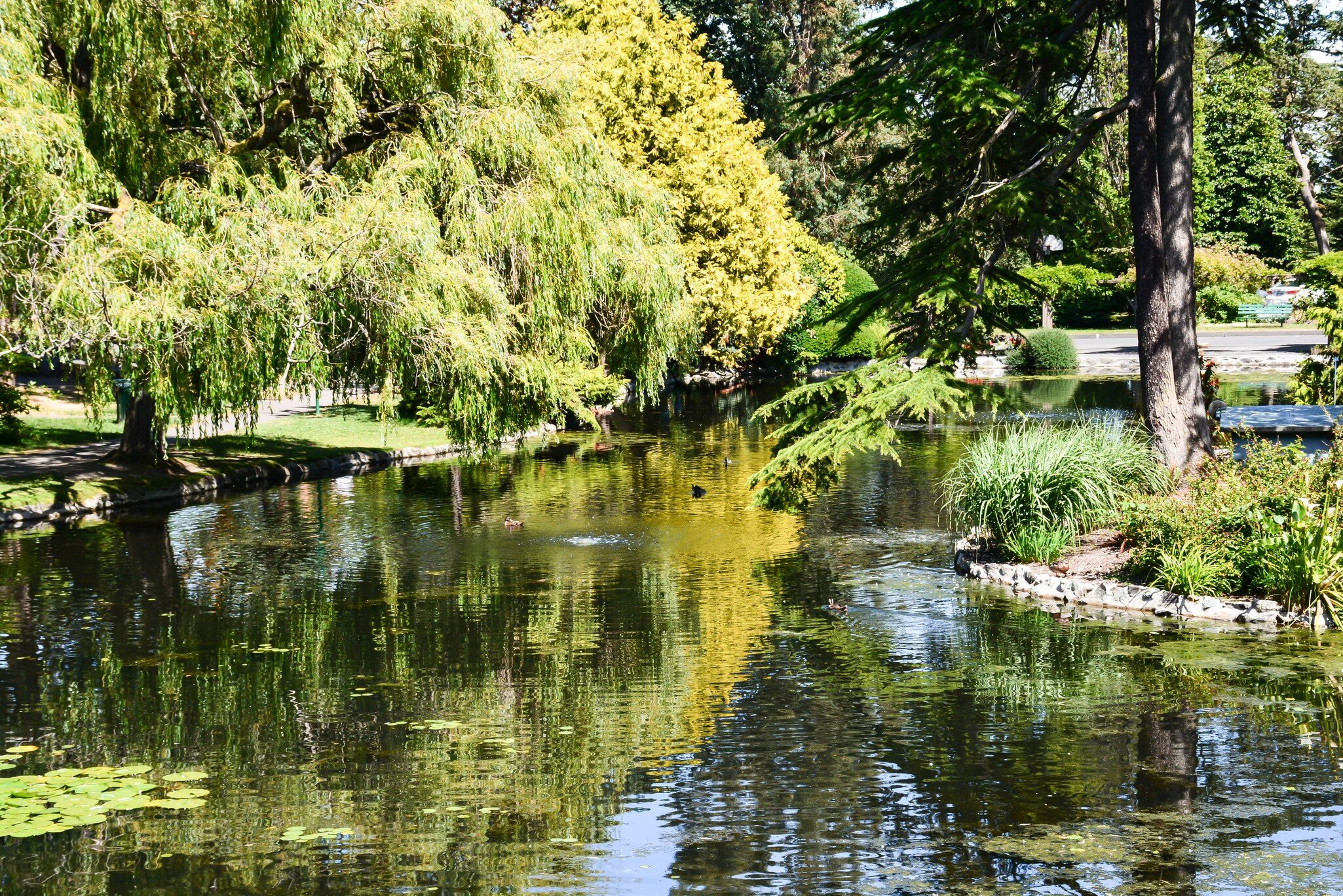 Beacon Hill Park, Victoria