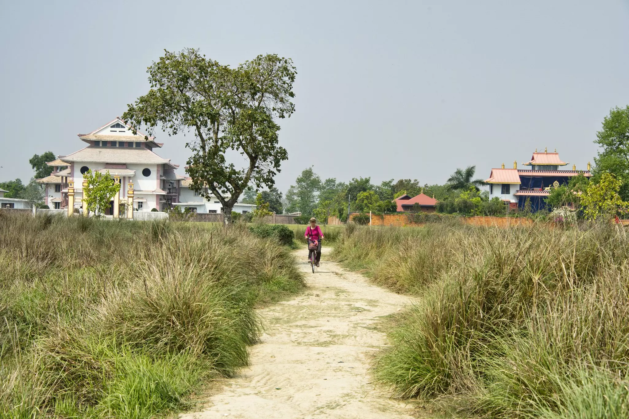 A woman pedals a bike down a sandy track between tall grass backed by temples.