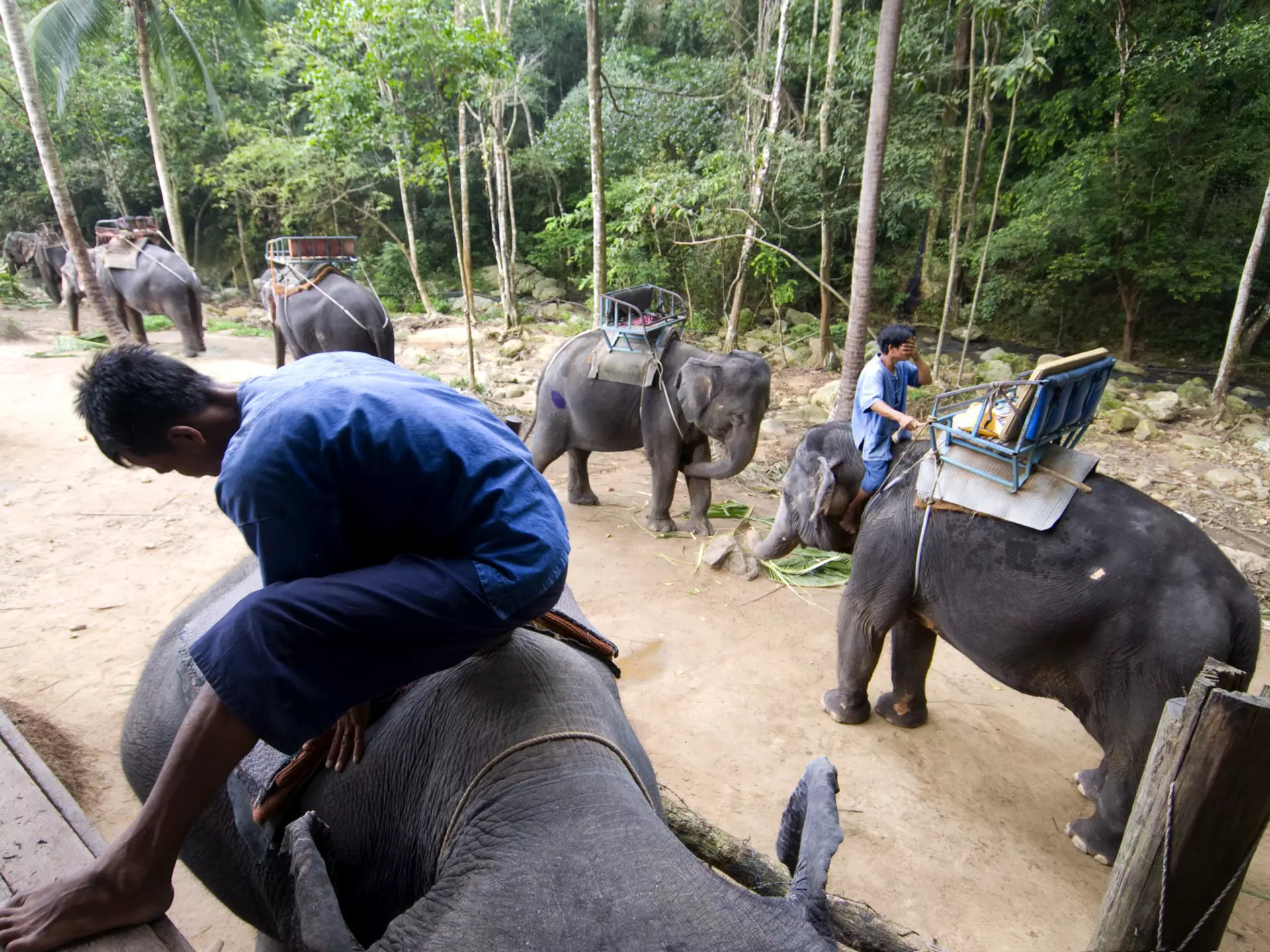 Elephant trekking to Namuang Waterfall