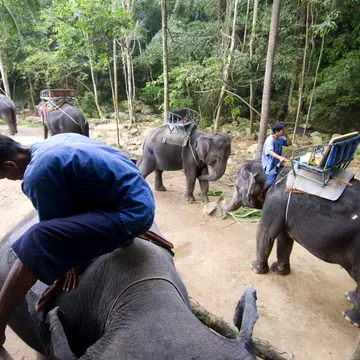 Elephant trekking to Namuang Waterfall