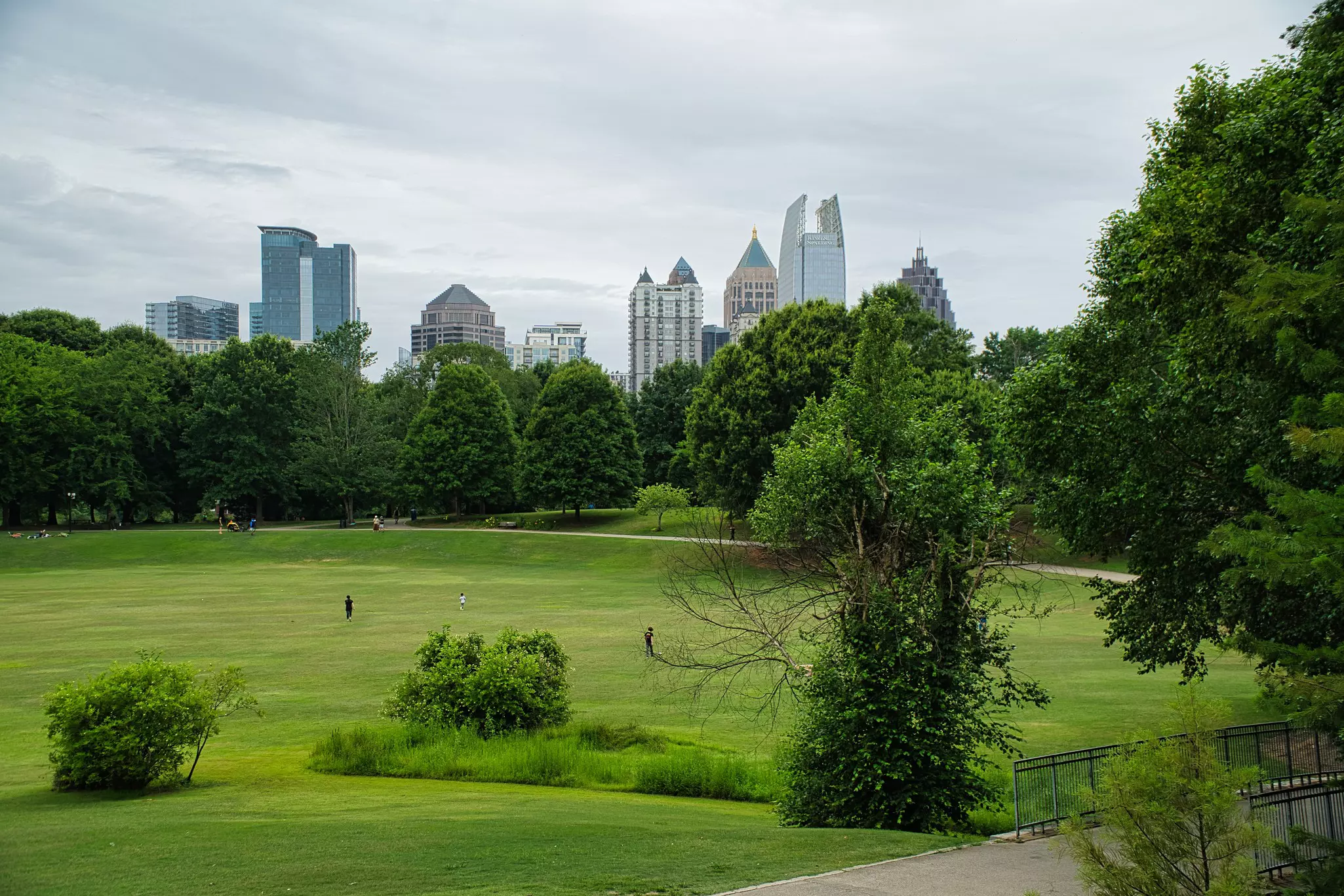 A large lawn surrounded by trees in a city park, with a skyline of office towers and apartment buildings seen int he distance.
