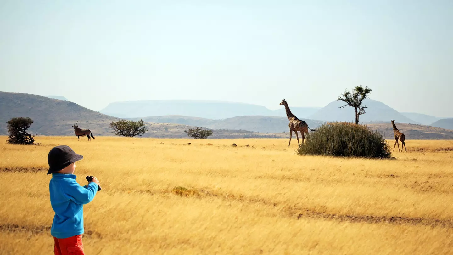 From wildlife-watching safaris to camping under the stars, here are Namibia's best family-friendly experiences © JurgaR / Getty Images