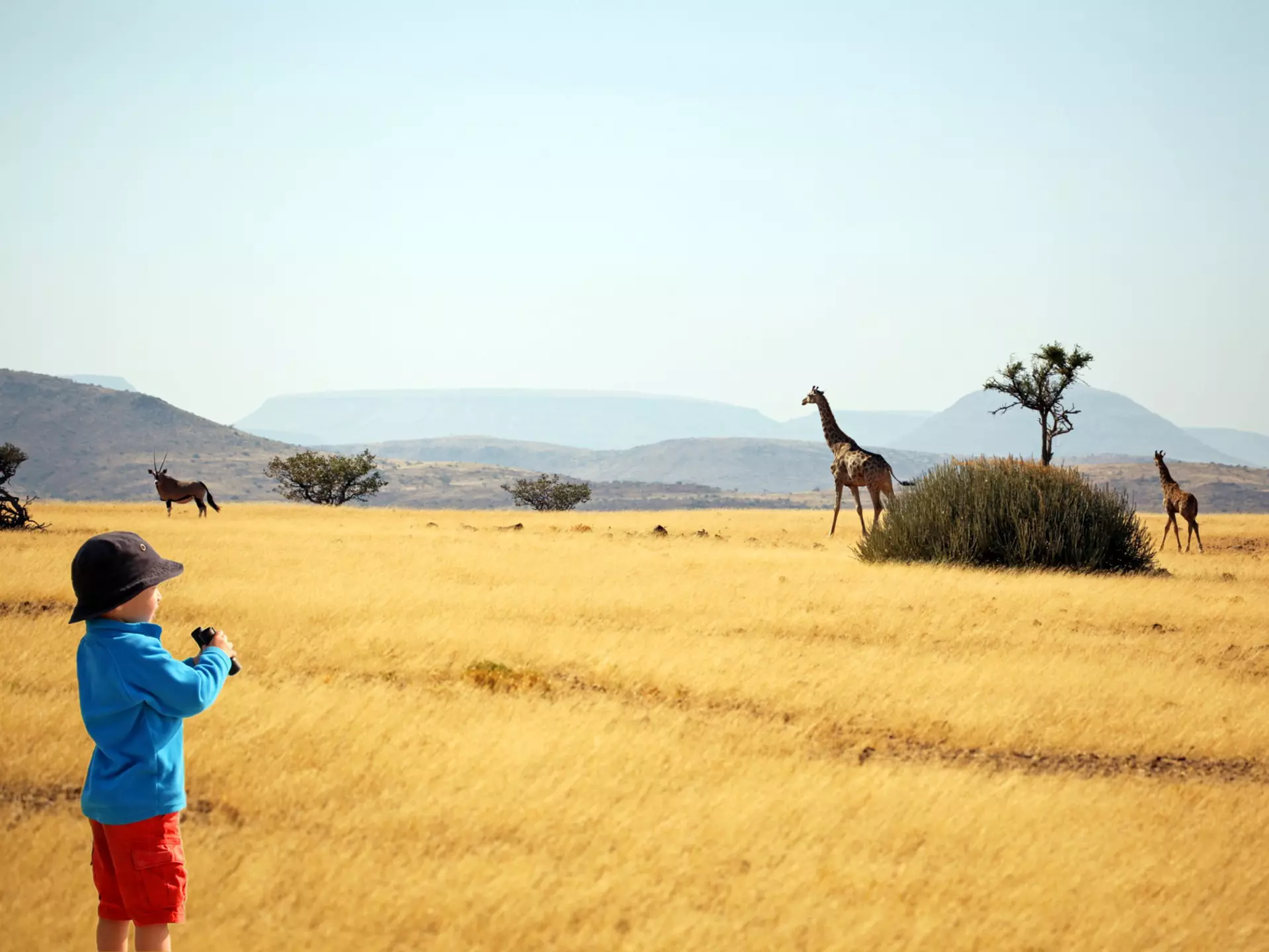From wildlife-watching safaris to camping under the stars, here are Namibia's best family-friendly experiences © JurgaR / Getty Images