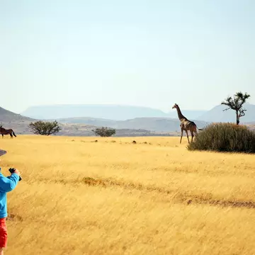 From wildlife-watching safaris to camping under the stars, here are Namibia's best family-friendly experiences © JurgaR / Getty Images