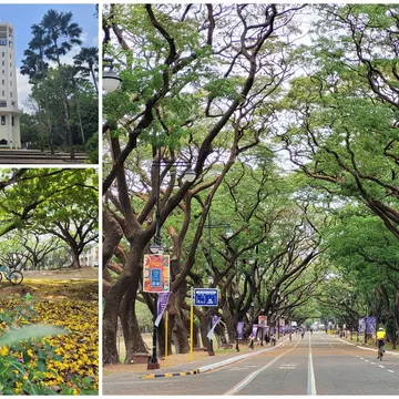 Manila sightseeing and cycling.jpg