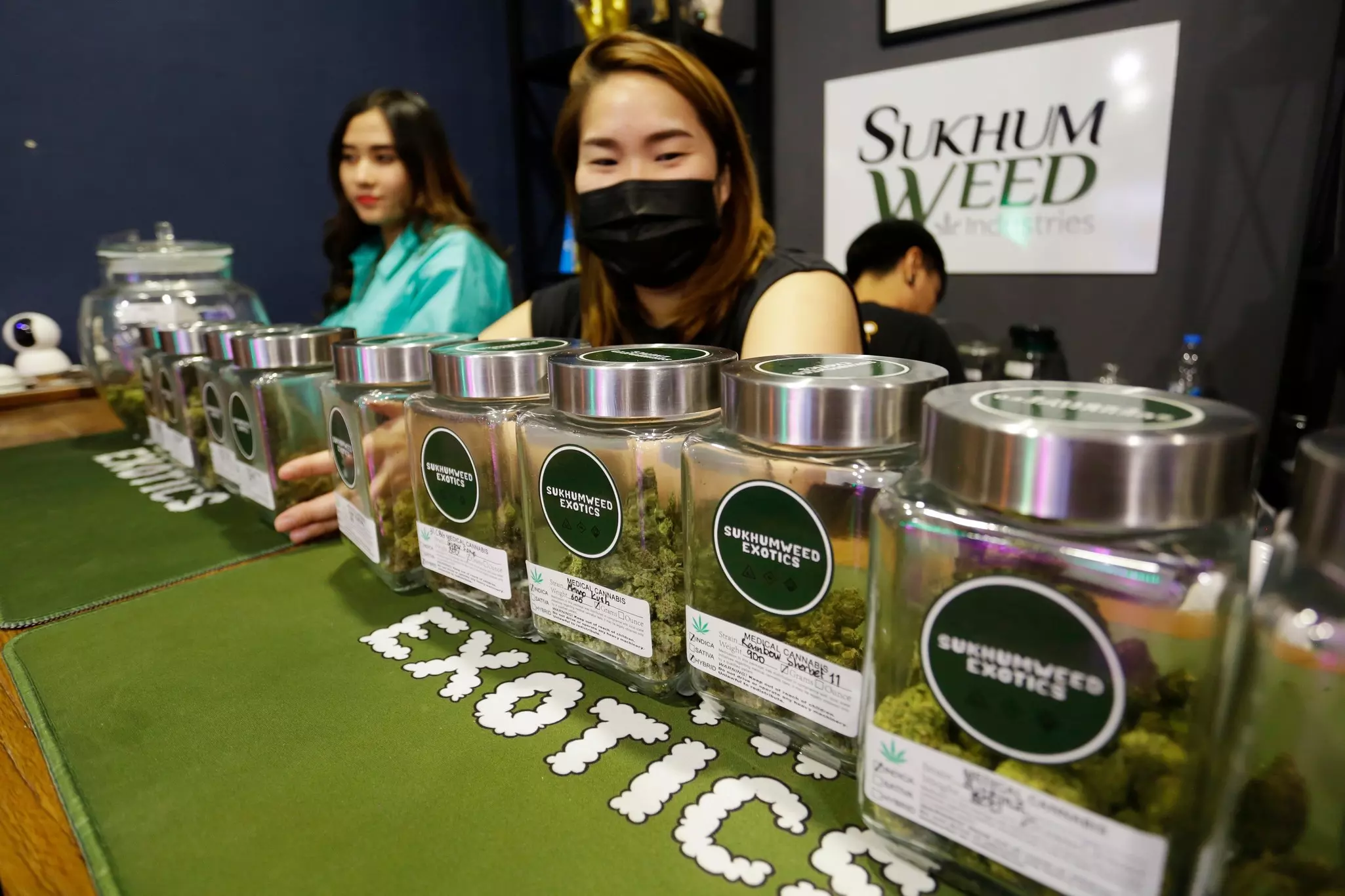 Containers of marijuana flower buds are displayed in the Sukhumweed cannabis shop in Thailand. 