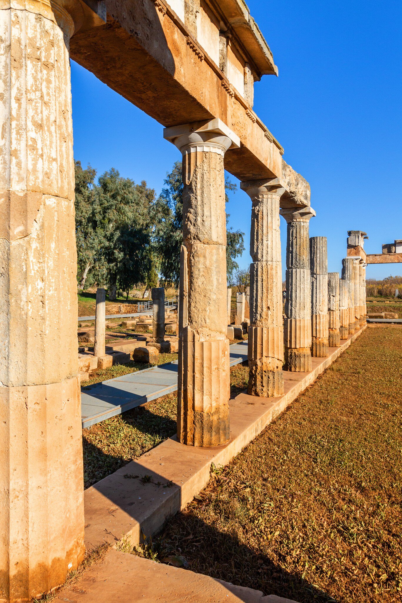 View of columns of the Temple of Artemis in Vravrona, Greece.