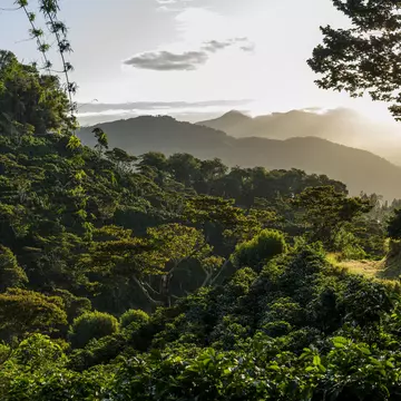 Plan your time in the coffee-growing province of Chiriquí, Panama, with these top tips © Cavan Images / Getty Images