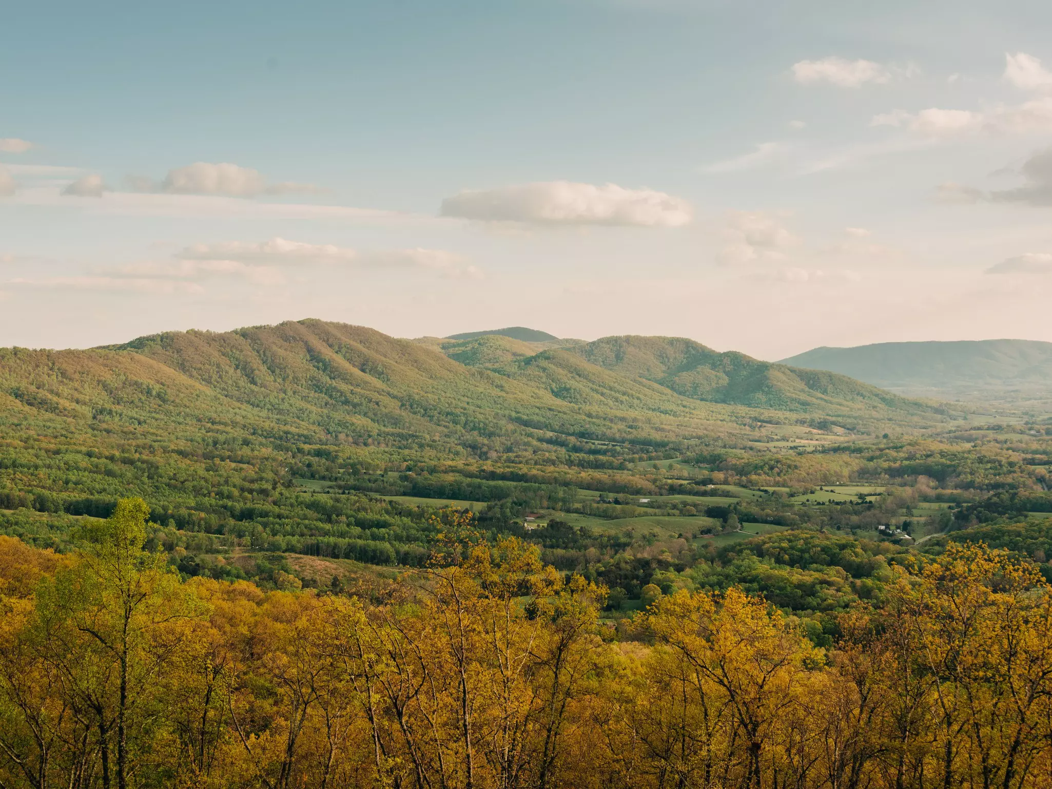 A landscape with trees and hills, Blue Ridge Parkway, Fancy Gap, Virginia