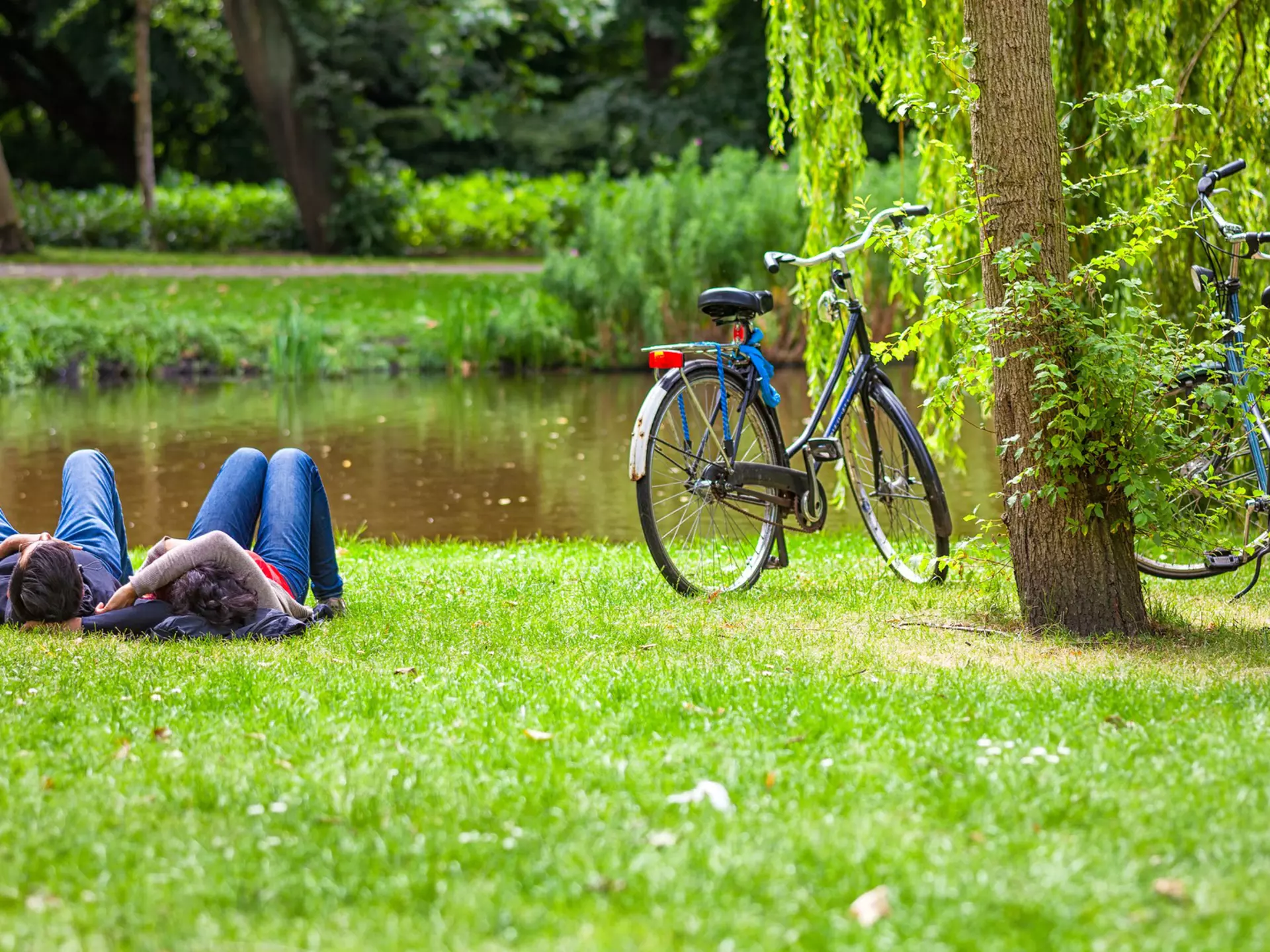 Vondelpark. Shutterstock