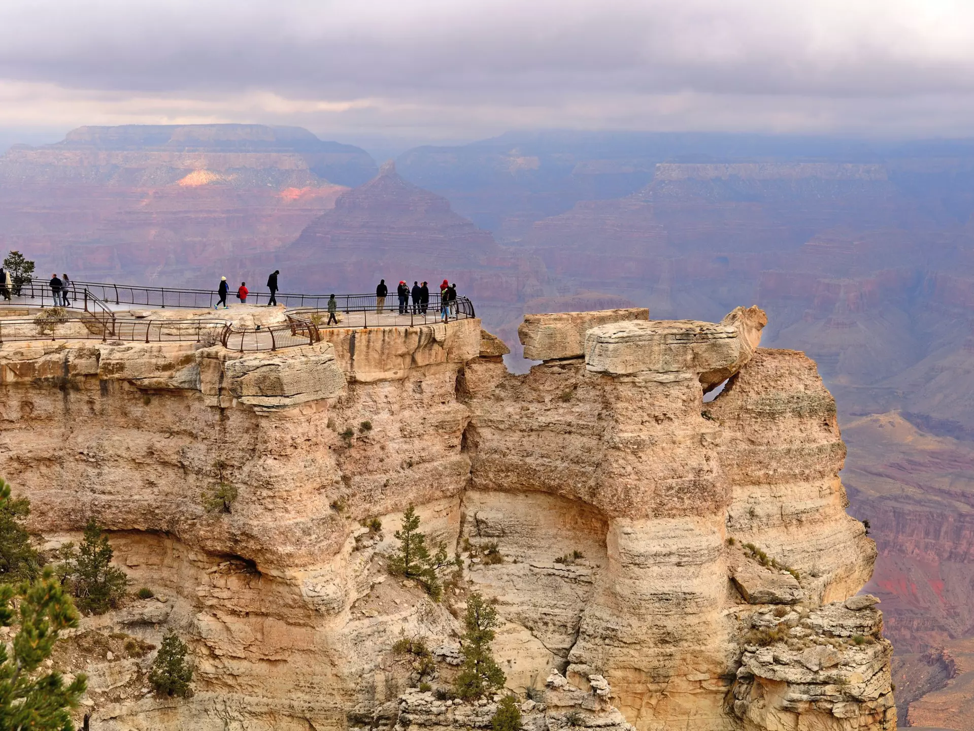 The South Rim of the Grand Canyon. TFoxFoto/Shutterstock