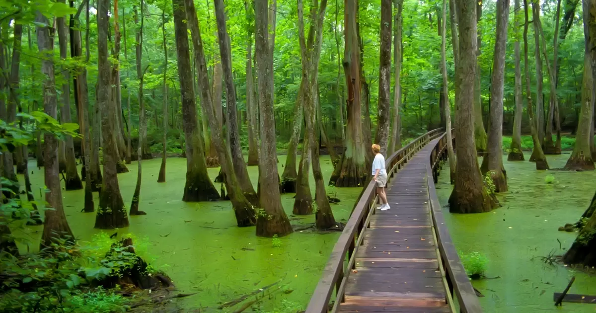 10 delightful detours along the Natchez Trace Parkway - Lonely Planet