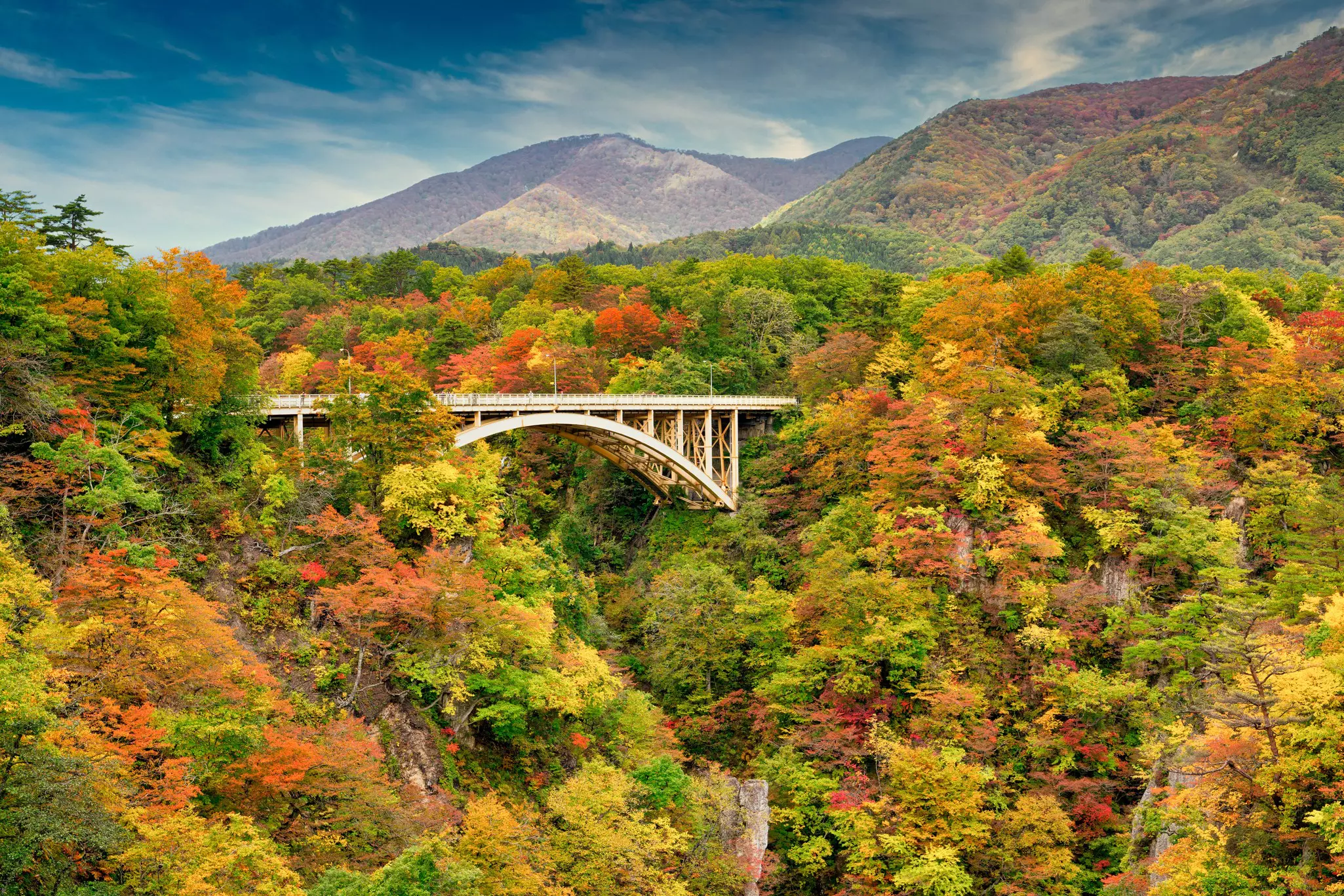 The Ofukazawa bridge offers autumn views of Naruko Gorge from Narukokyo Resthouse. It spans the gorge, ending the walking trail with elevated views of Tohoku's fall colors.