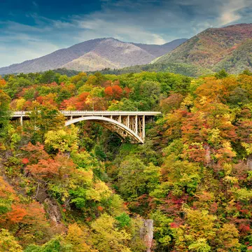 The Ofukazawa bridge offers autumn views of Naruko Gorge from Narukokyo Resthouse. It spans the gorge, ending the walking trail with elevated views of Tohoku's fall colors.