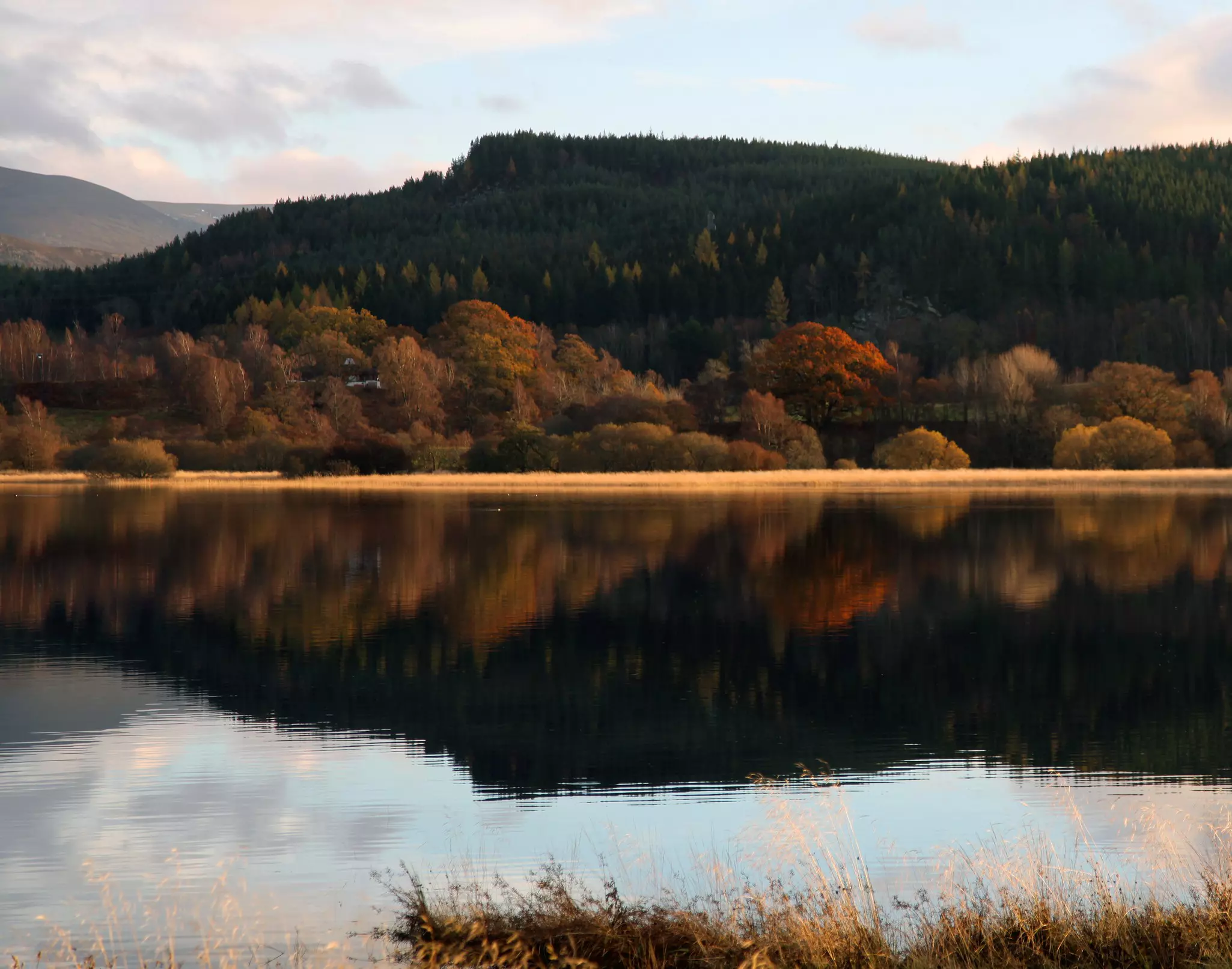 Reflections of autumnal colors on a lake