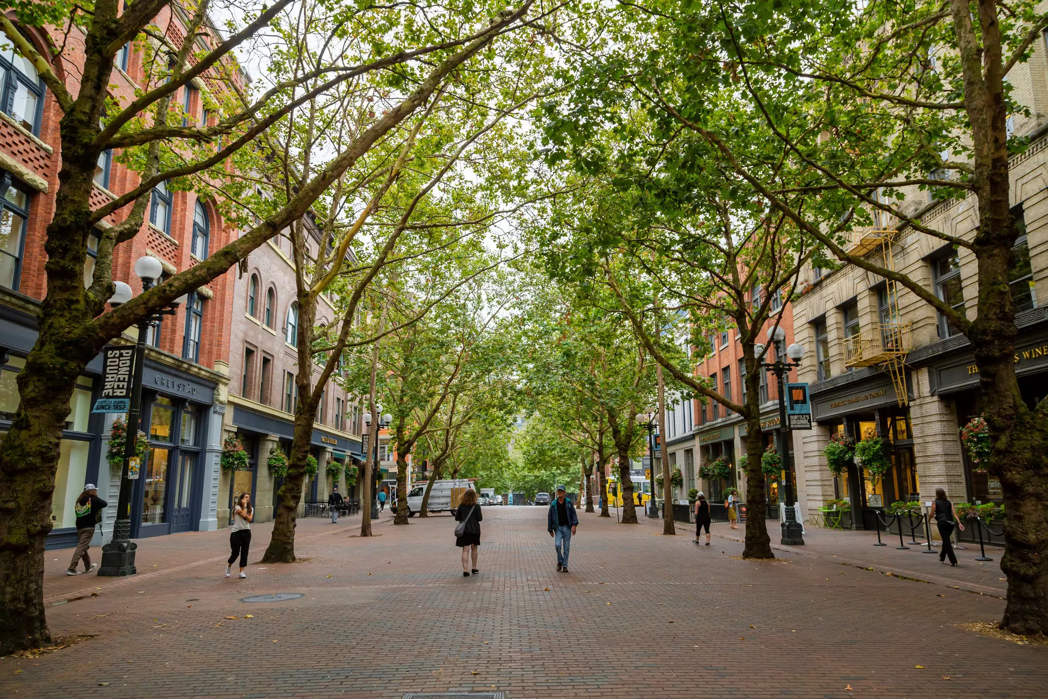 A shot of a sunny green day on the historic brick Occidental Walk Avenue in the Pioneer Sqaure neighborhood district in downtown Seattle
