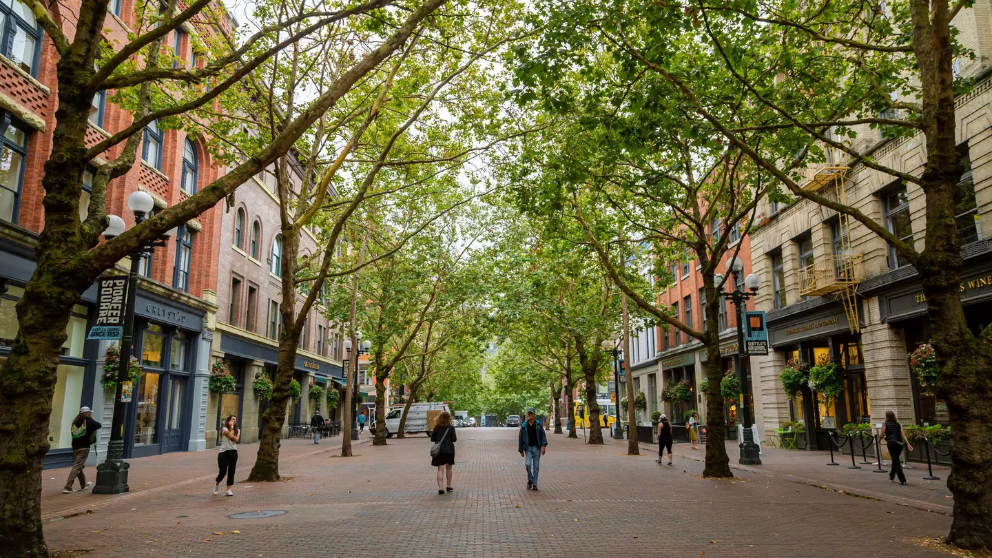 A shot of a sunny green day on the historic brick Occidental Walk Avenue in the Pioneer Sqaure neighborhood district in downtown Seattle