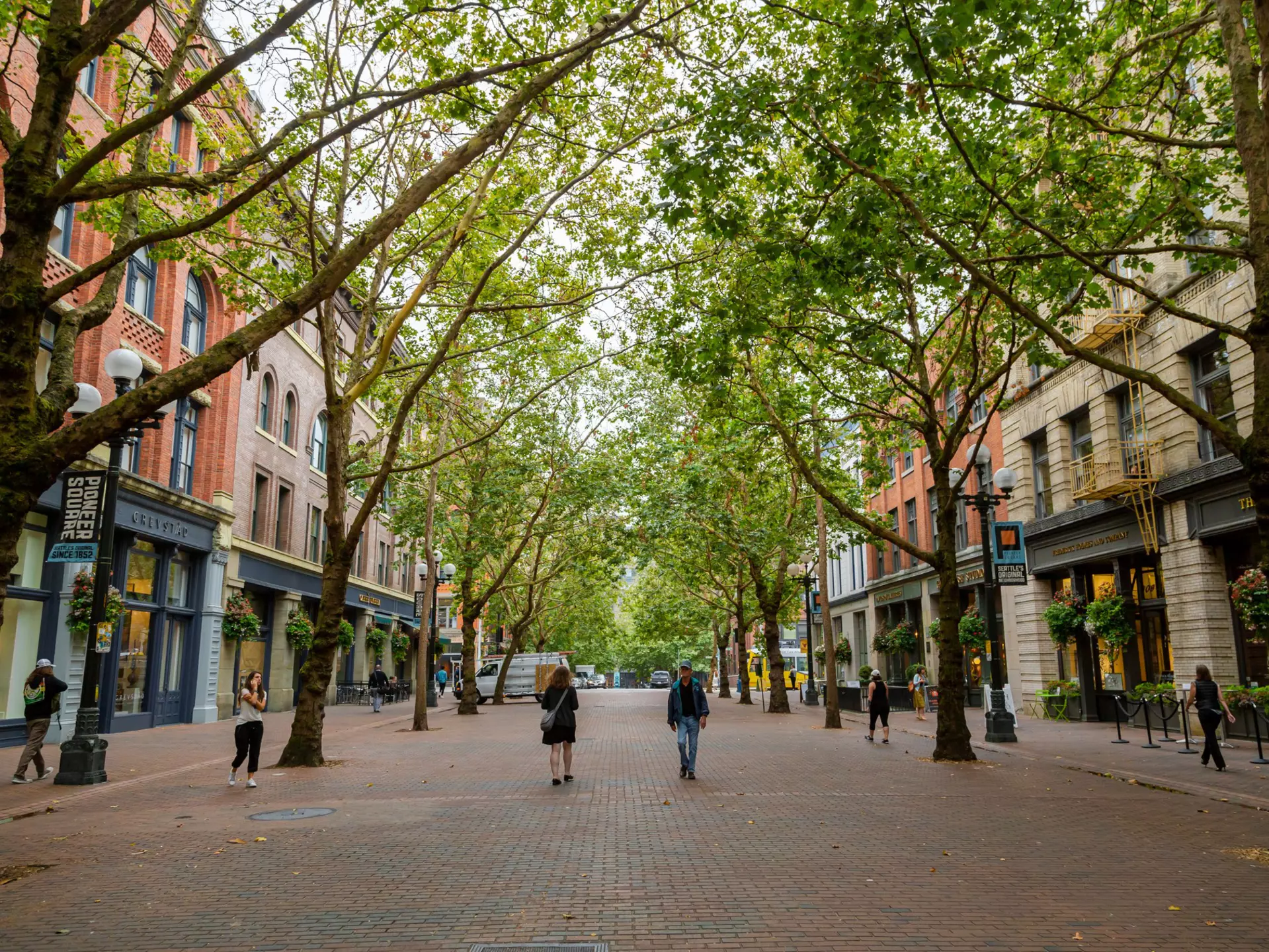 The tree-lined Occidental Walk Avenue in Downtown Seattle. CineCam/Shutterstock