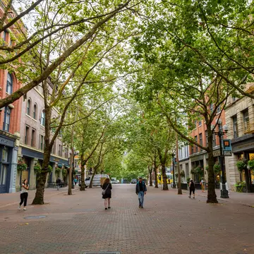The tree-lined Occidental Walk Avenue in Downtown Seattle. CineCam/Shutterstock