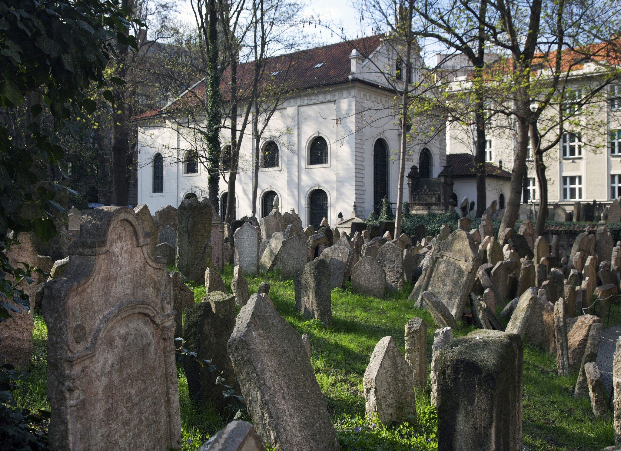 Old Jewish Cemetery with Old-New Synagogue situated in Josefov Quarter. This cemetery, established in 15th century is one of the oldest in Europe. Prague, Czech Republic.