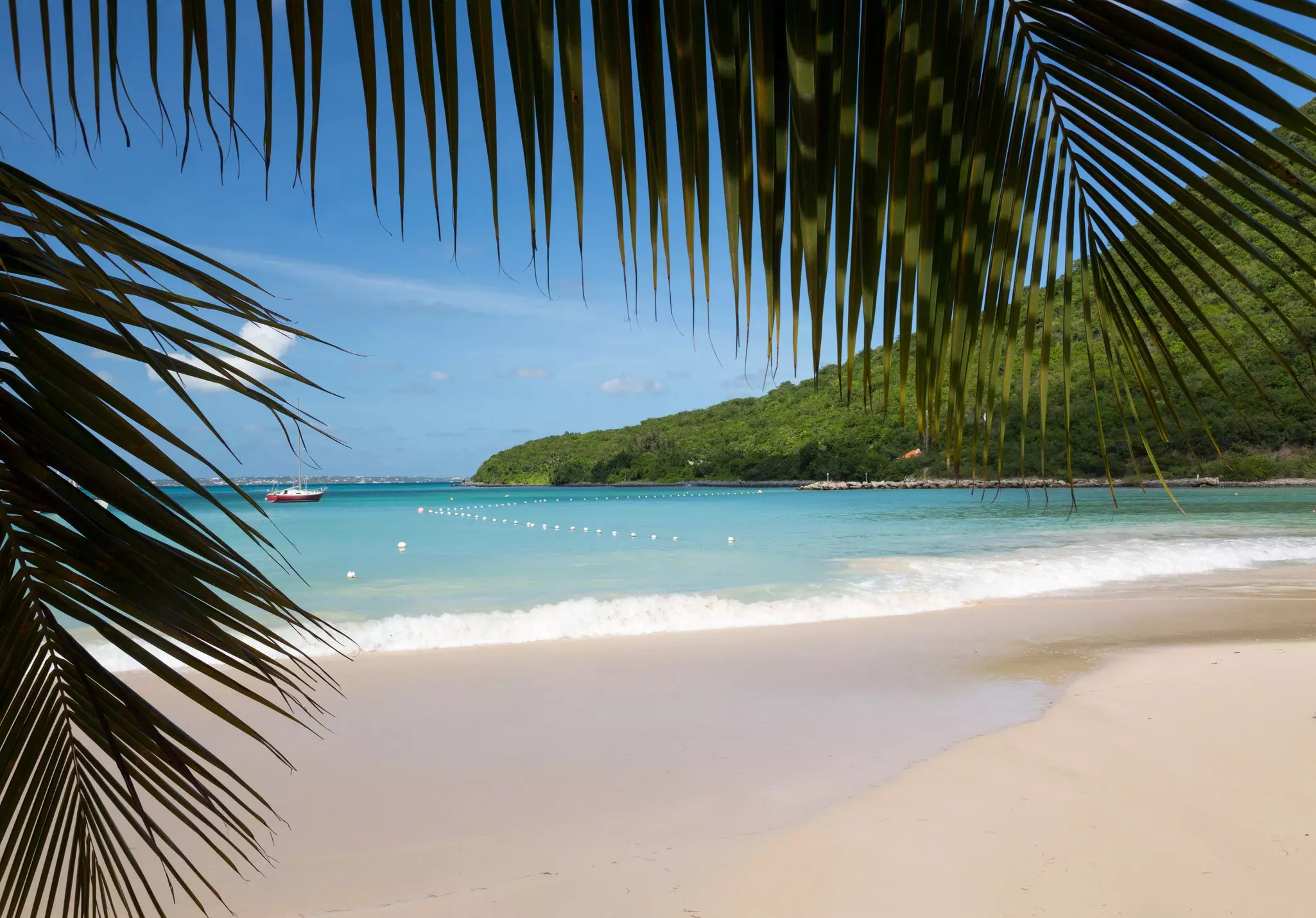 A deserted tropical beach is framed by palm fronds.