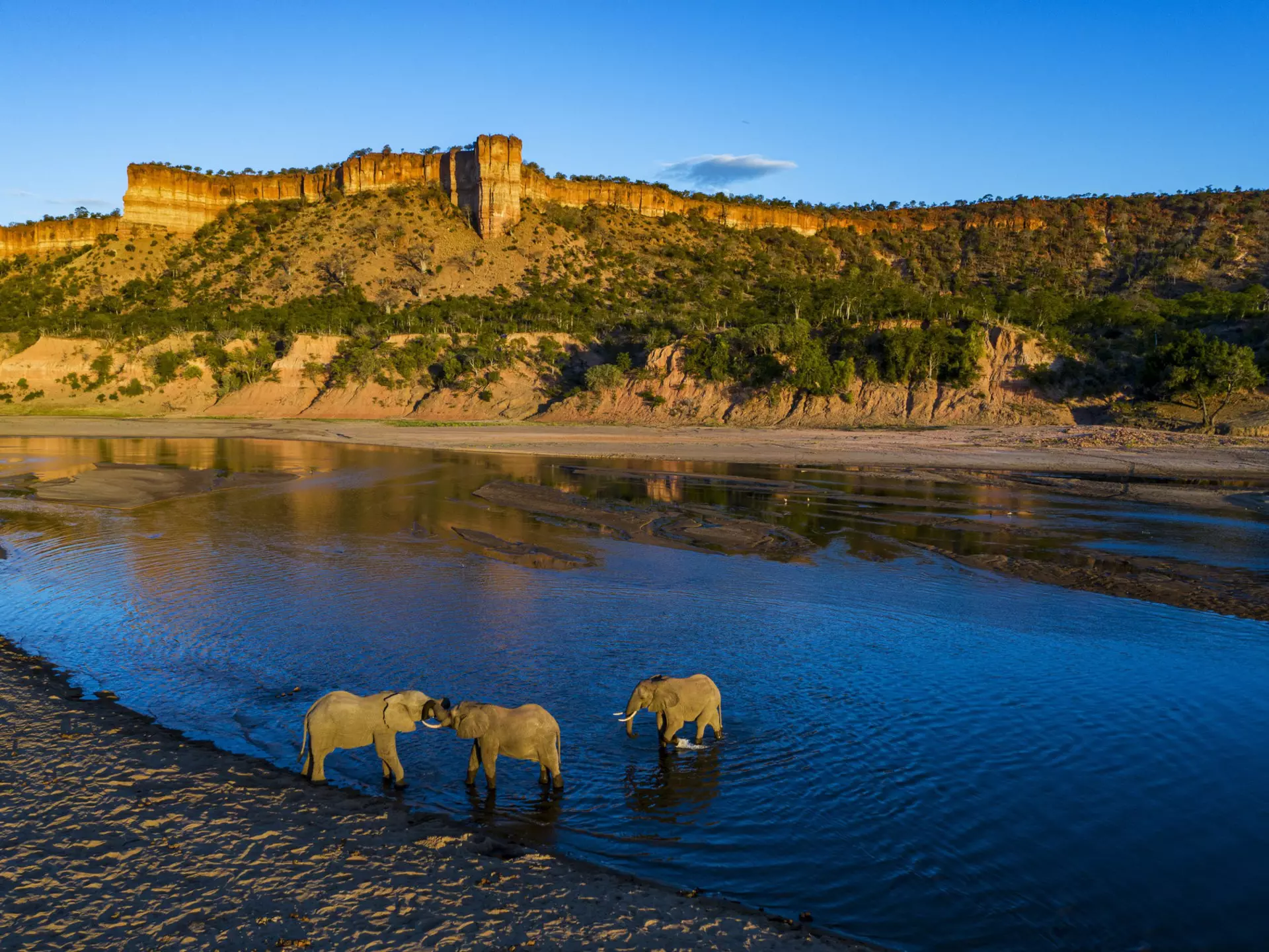 Three elephants cavort in the shallows of the Runde River, with the Chilojo Cliffs in the background.