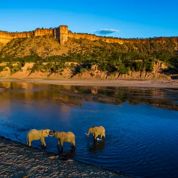 Aerial of elephants in the Runde river with sunlight striking the Chilojo Cliffs, Zimbabwe