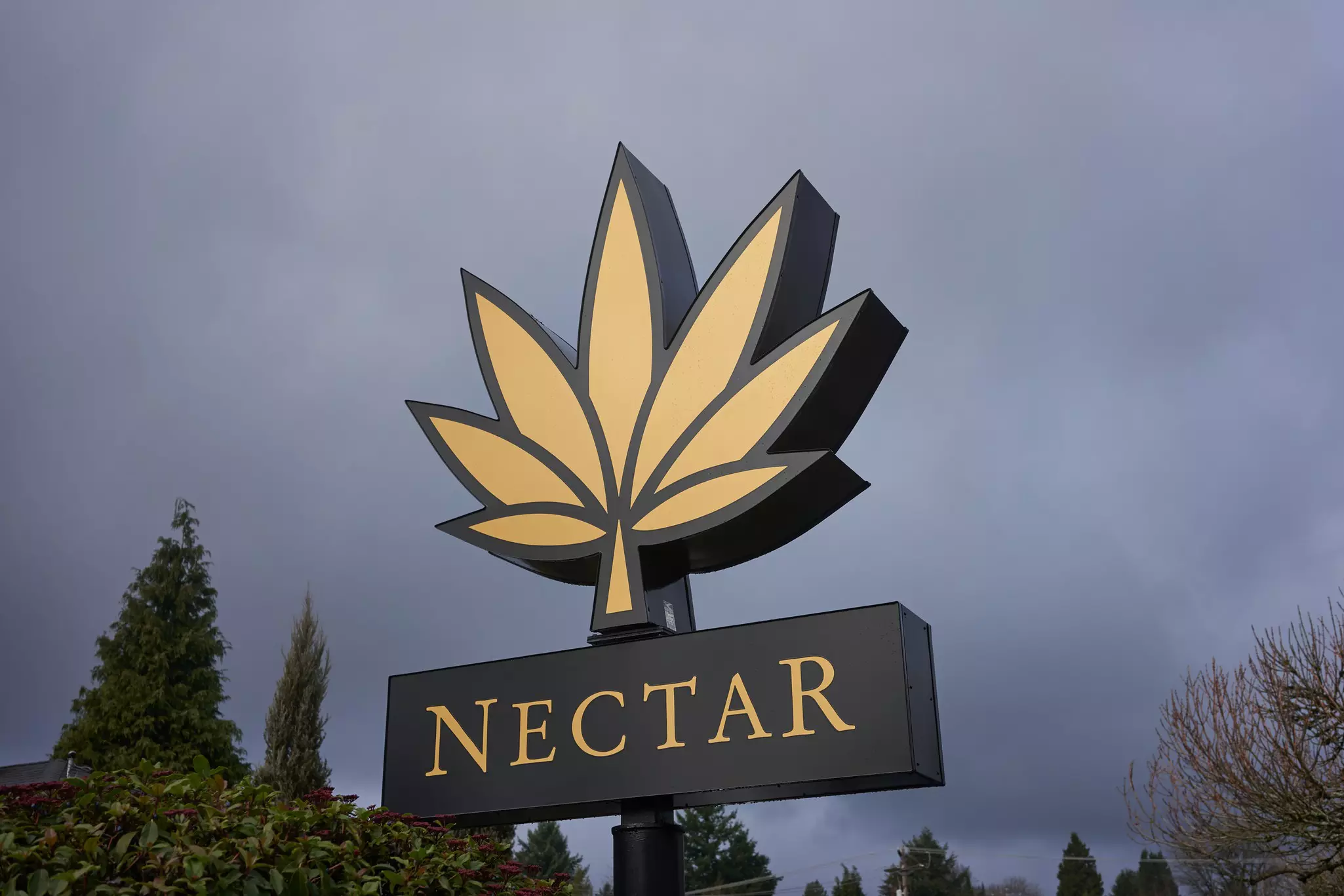 Three rows of edible cannabis products are arranged on a white wire shelf at a Portland, Oregon cannabis dispensary. They include salted cannabutter, fudgy brownies, and an infused nut mix