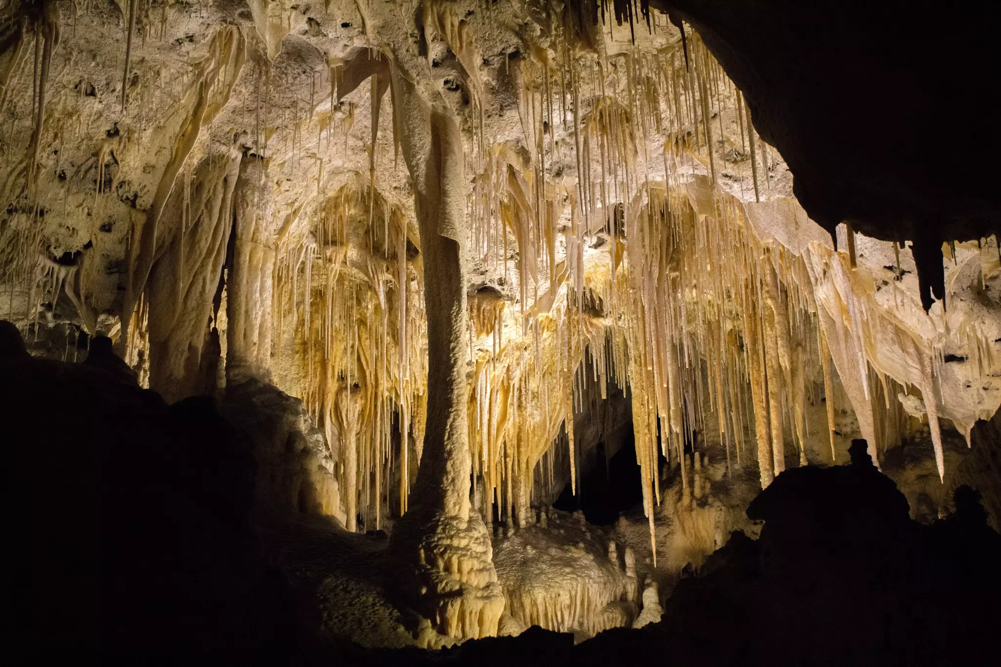 Carlsbad Caverns, New Mexico. Interior Shot.