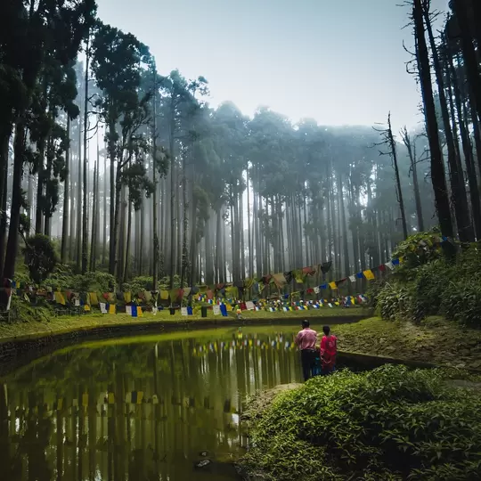 Lamahatta Eco Park, Lamahatta Darjeeling Sacred Lake, Pine Forest in Darjeeling, Darjeeling Sightseeing, West Bengal Tourism